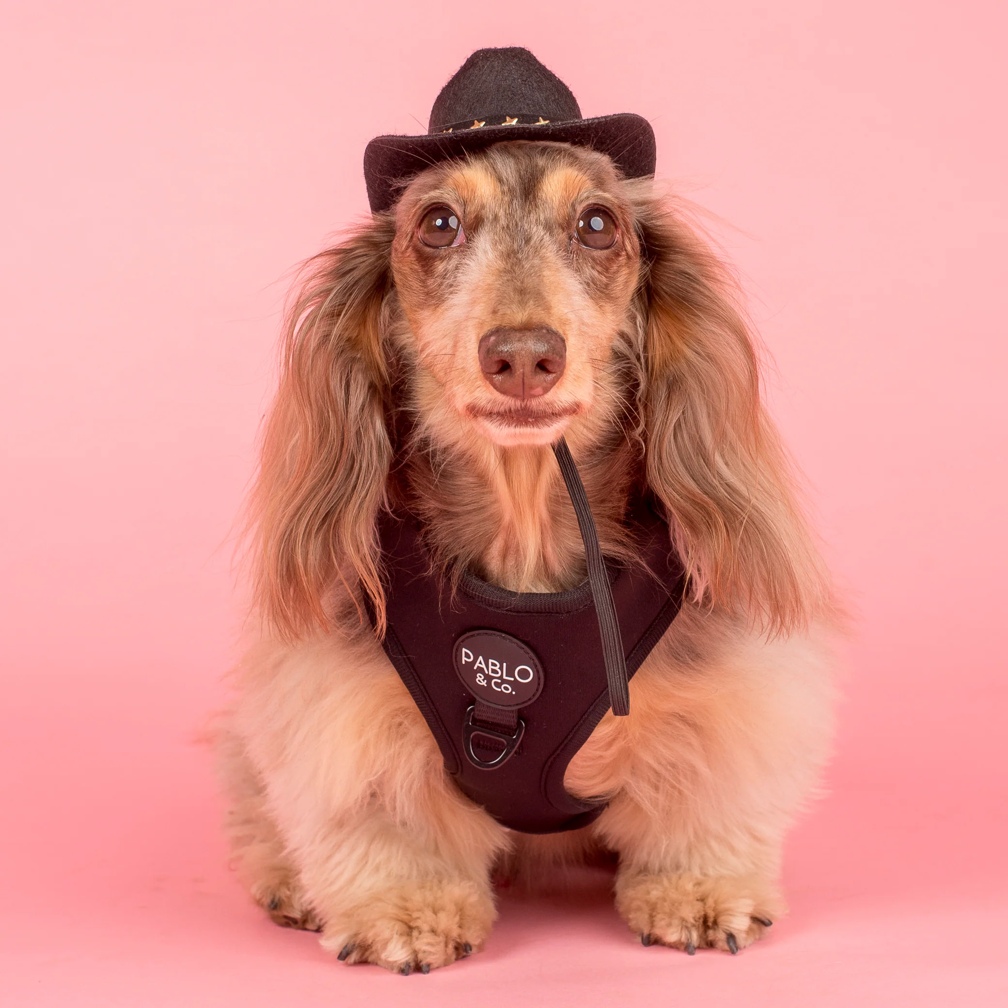 Pet Cowboy Hat - Image 6