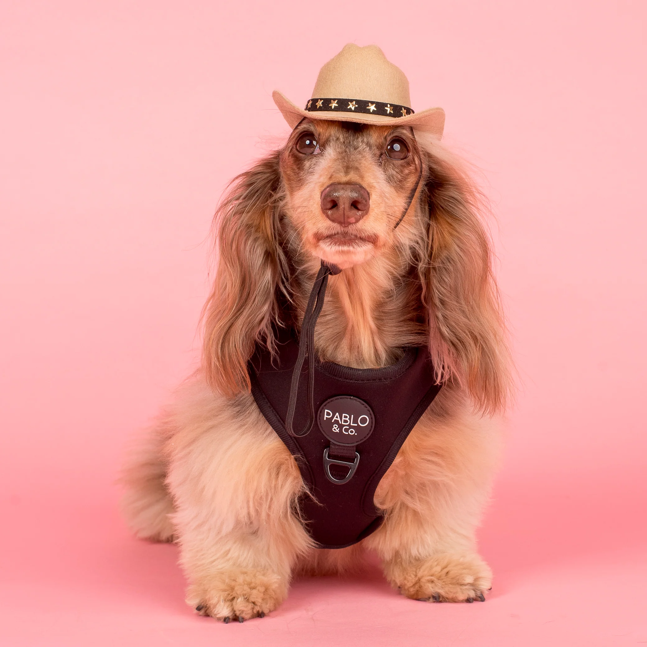 Pet Cowboy Hat - Image 7