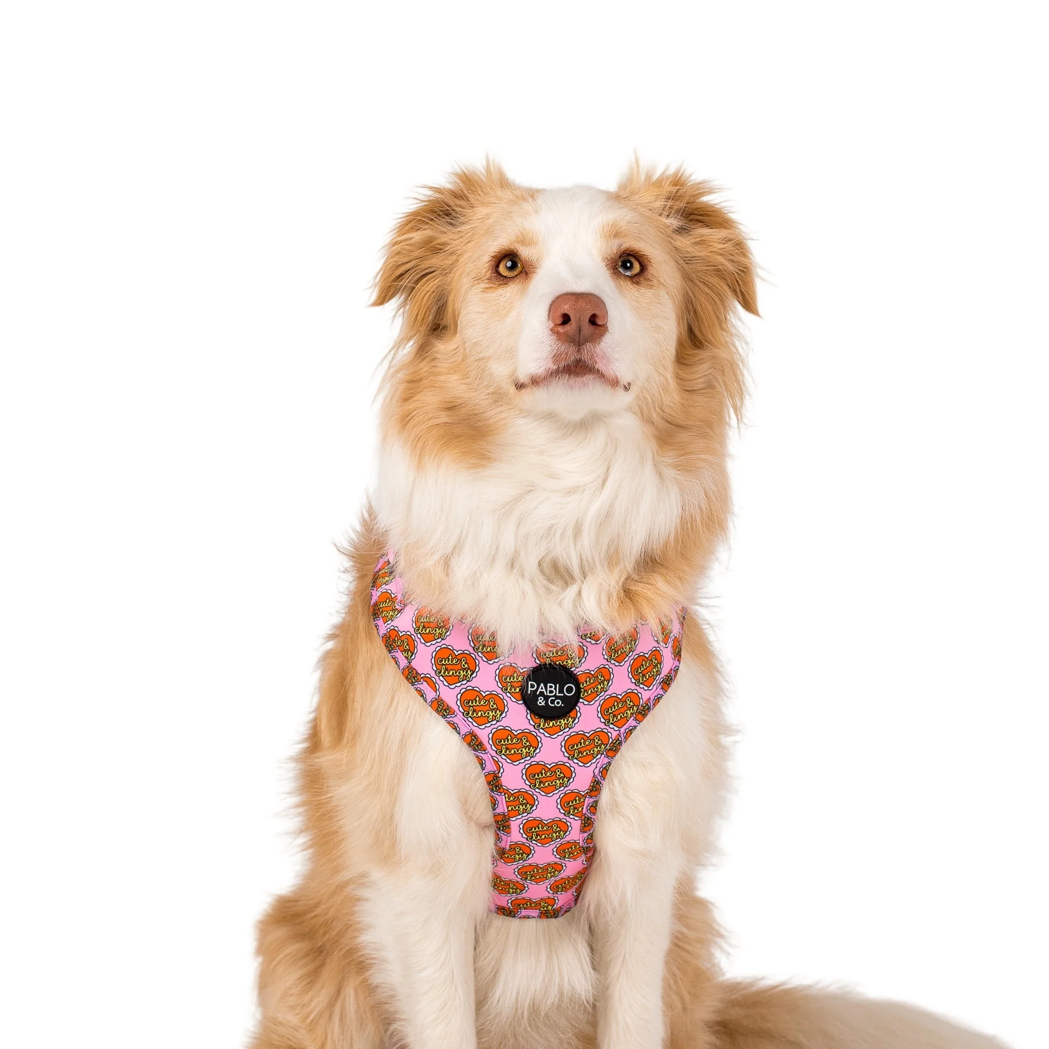 Cute & Clingy Hearts: Adjustable Harness - Image 3