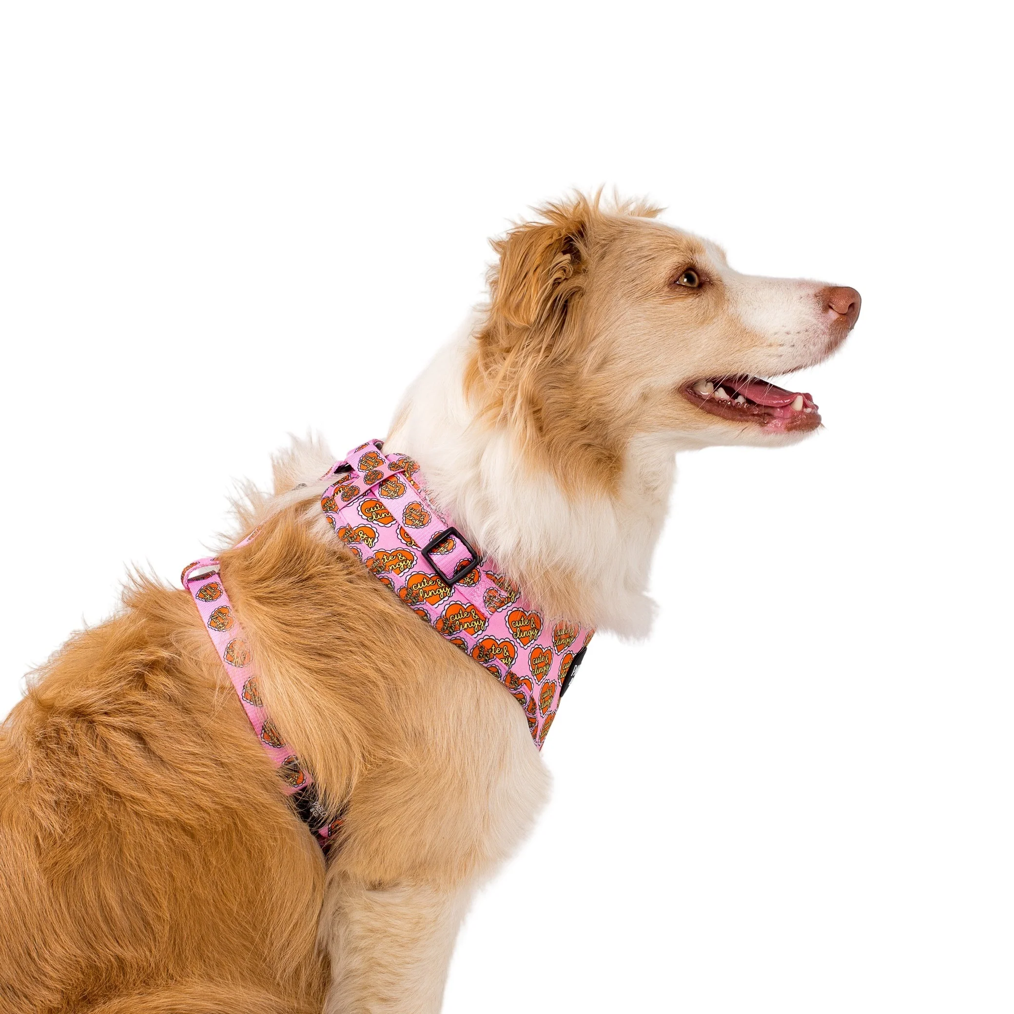 Cute & Clingy Hearts: Adjustable Harness - Image 4