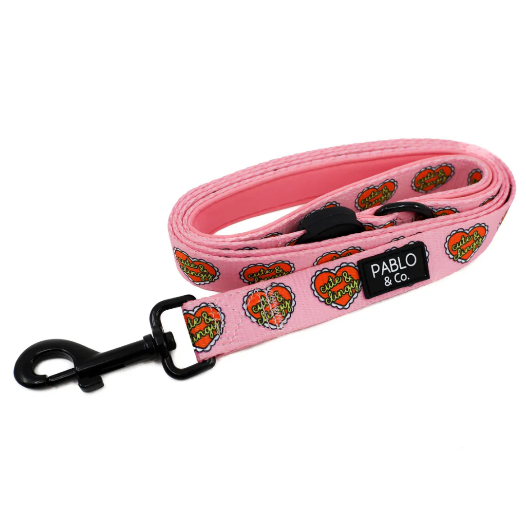 Cute & Clingy Hearts: Dog Leash