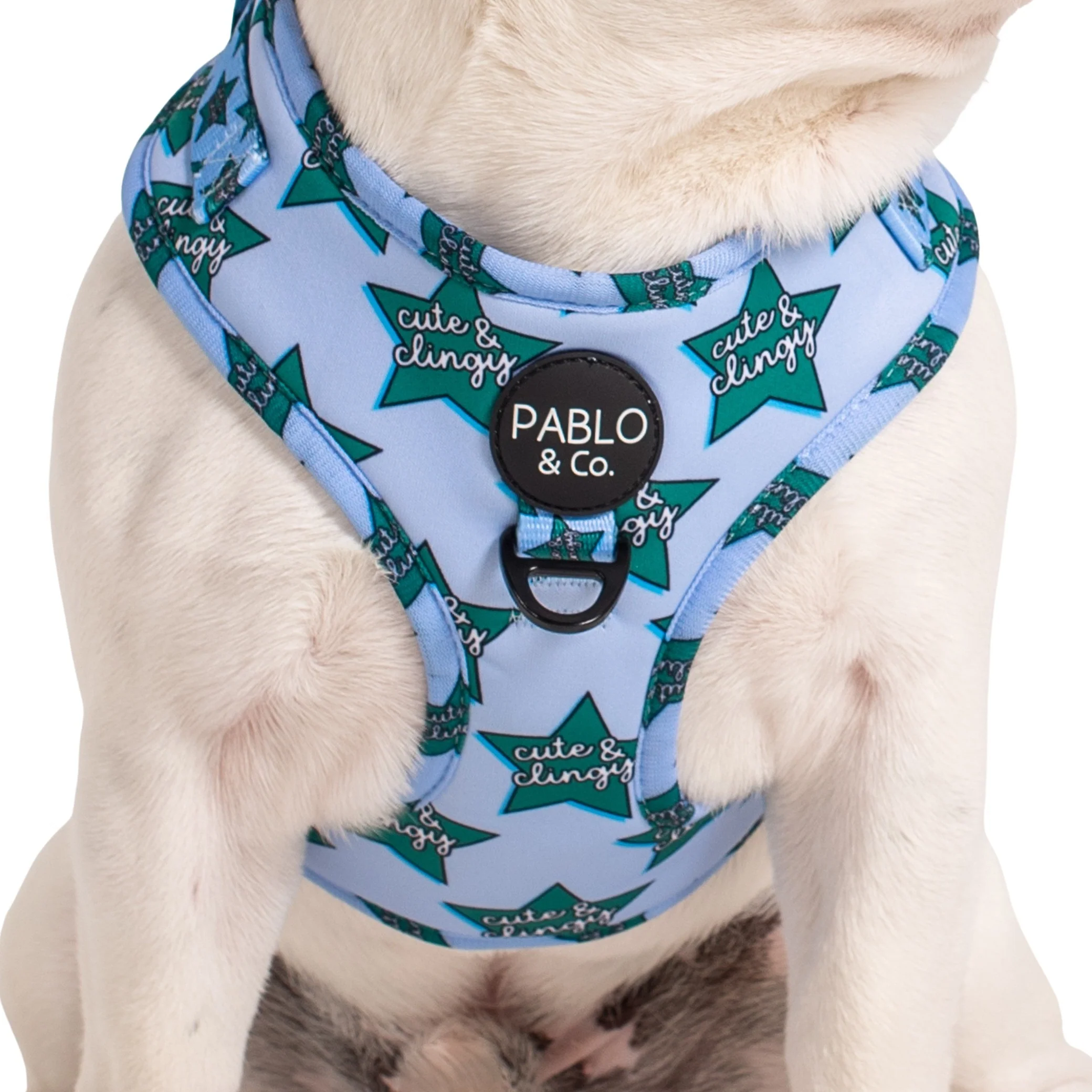 Cute & Clingy Stars: Adjustable Harness - Image 2