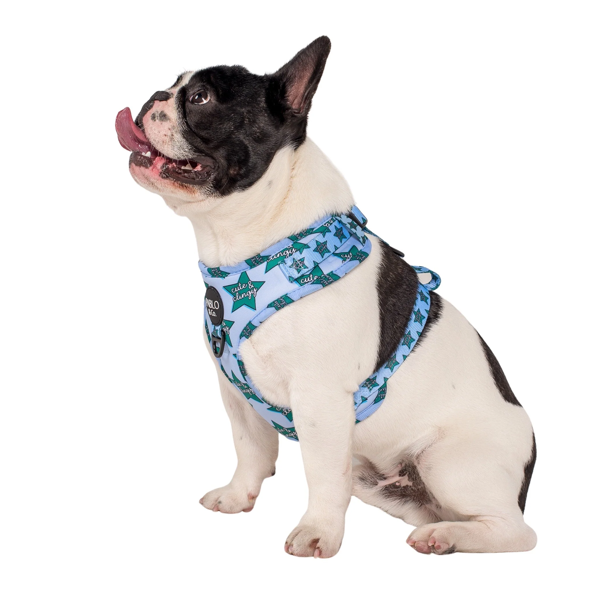 Cute & Clingy Stars: Adjustable Harness - Image 3