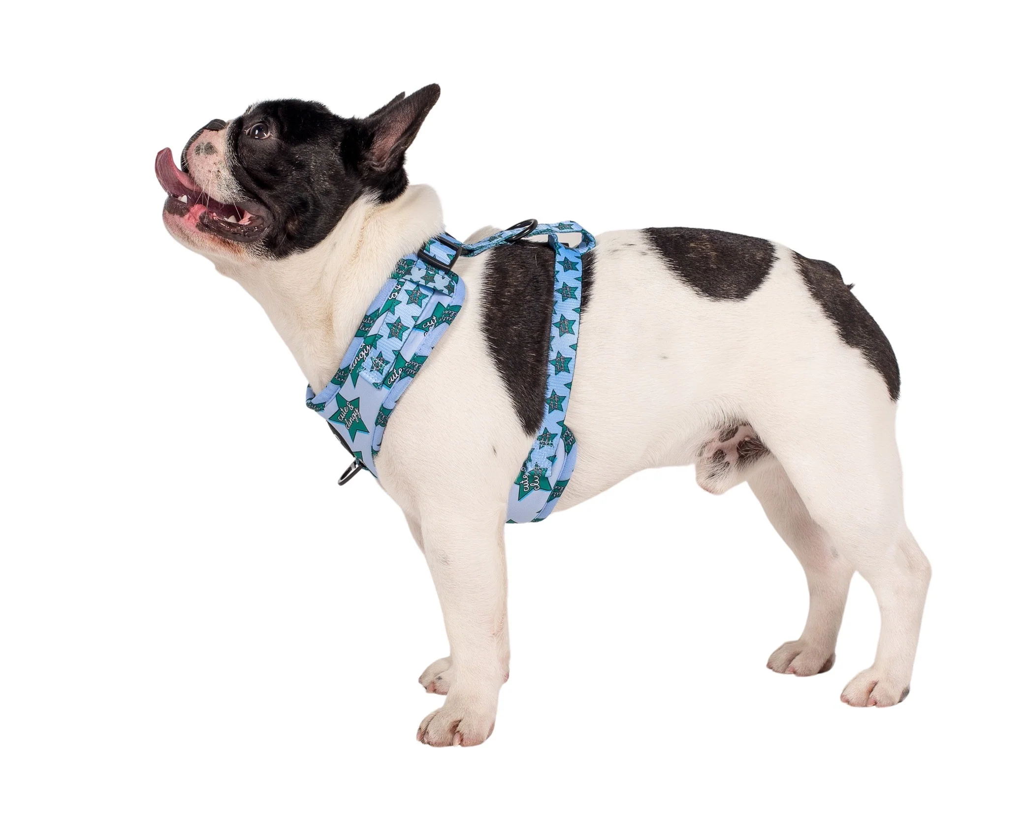 Cute & Clingy Stars: Adjustable Harness - Image 4