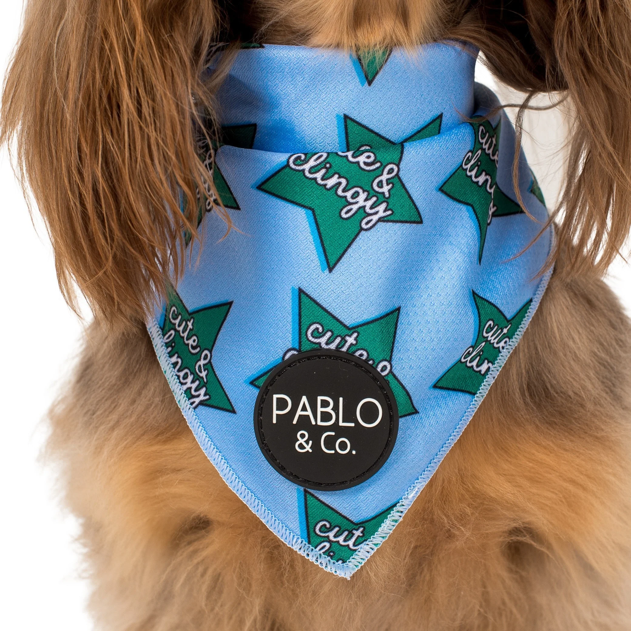 Cute & Clingy Stars - Dog Bandana