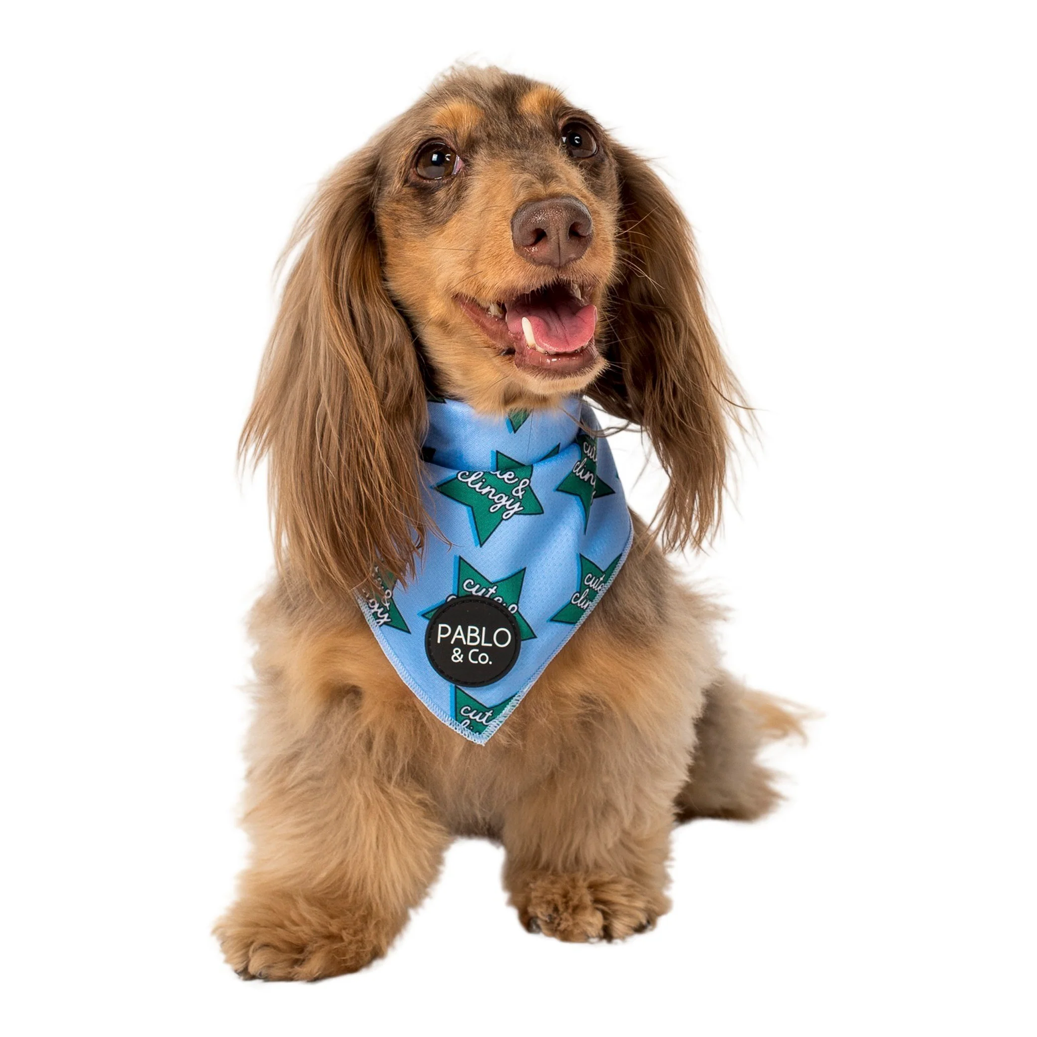 Cute & Clingy Stars - Dog Bandana - Image 2
