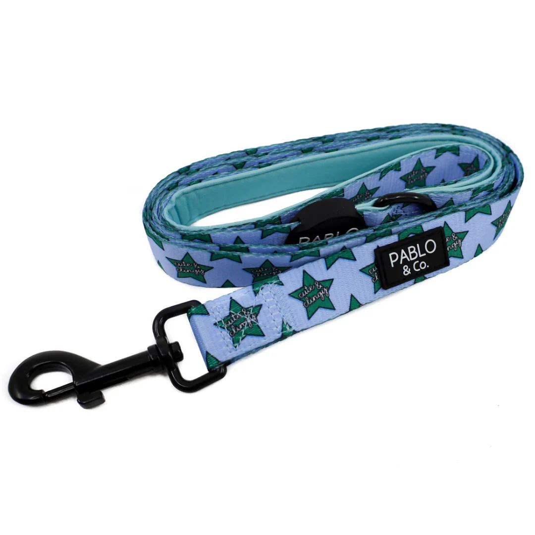 Cute & Clingy Stars: Dog Leash