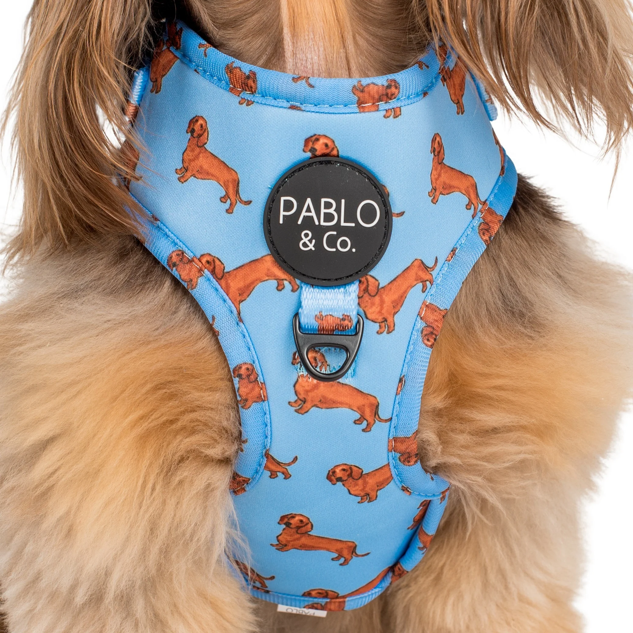 Dachshund: Adjustable Harness - Image 2