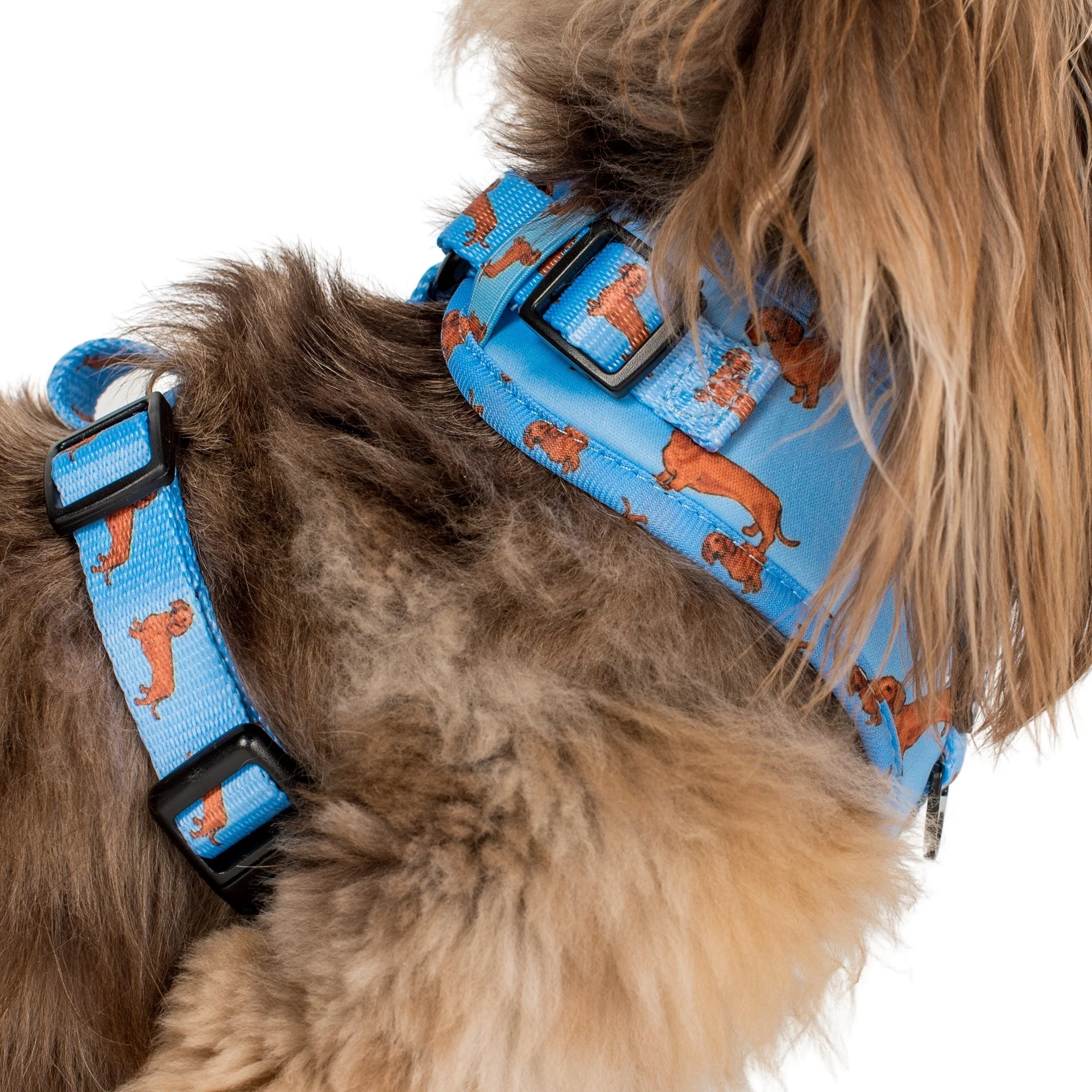 Dachshund: Adjustable Harness - Image 5