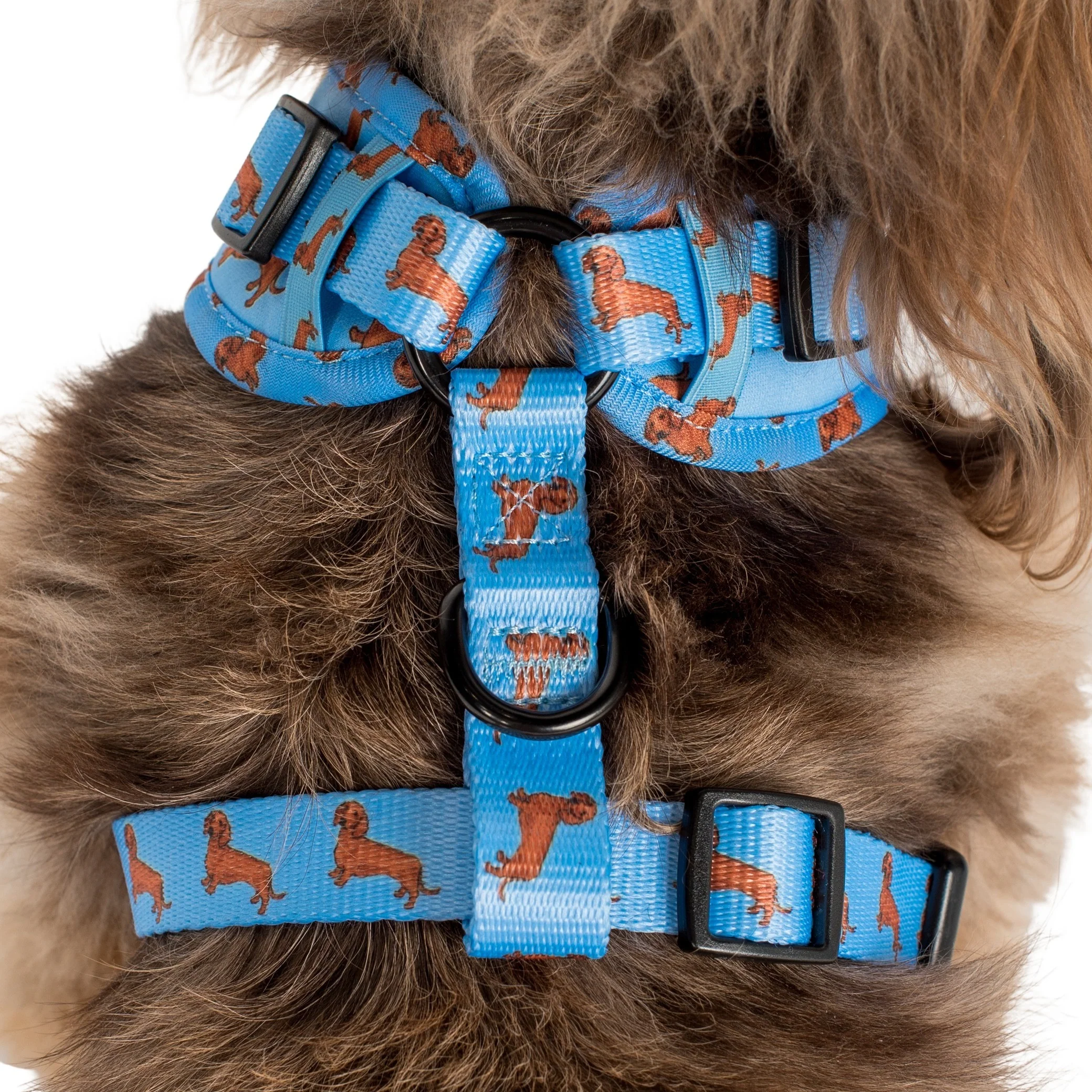 Dachshund: Adjustable Harness - Image 6