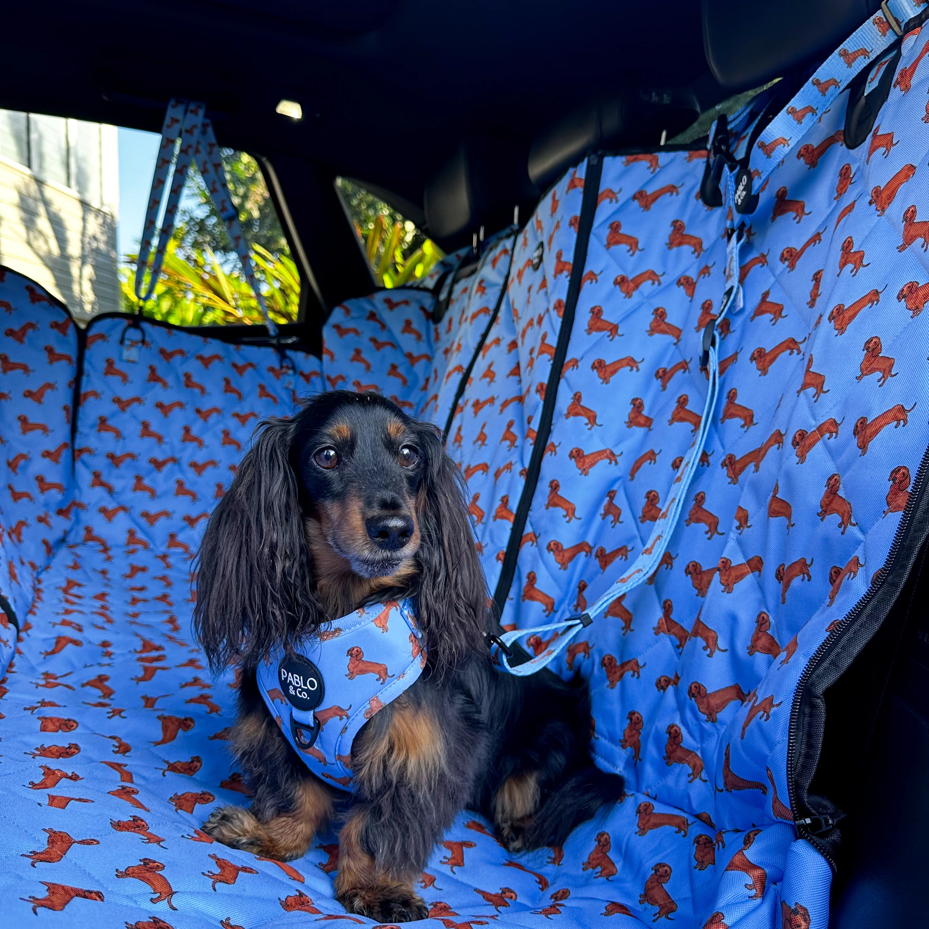 Dachshund: Headrest Car Restraint - Image 3