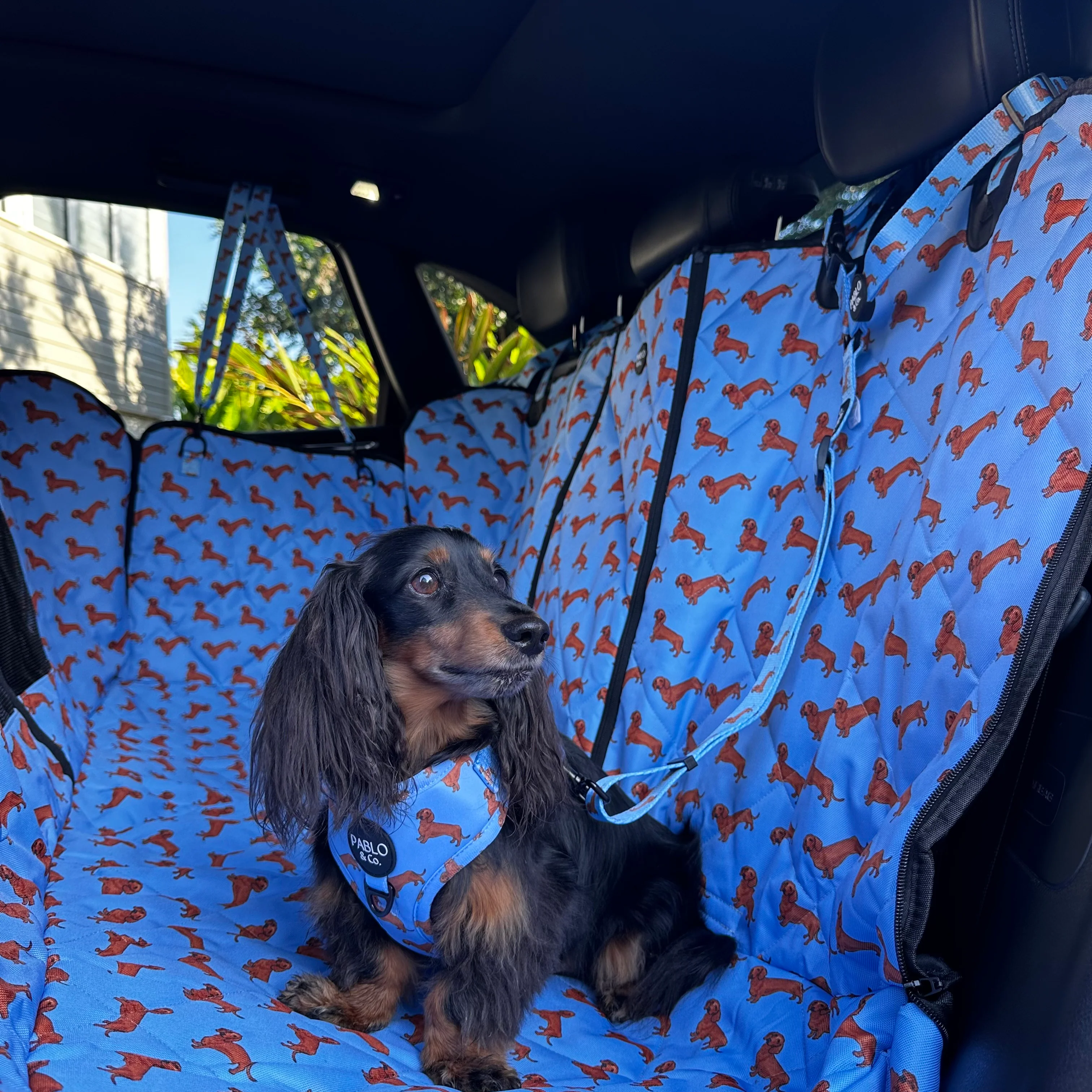 Dachshund: Headrest Car Restraint - Image 4