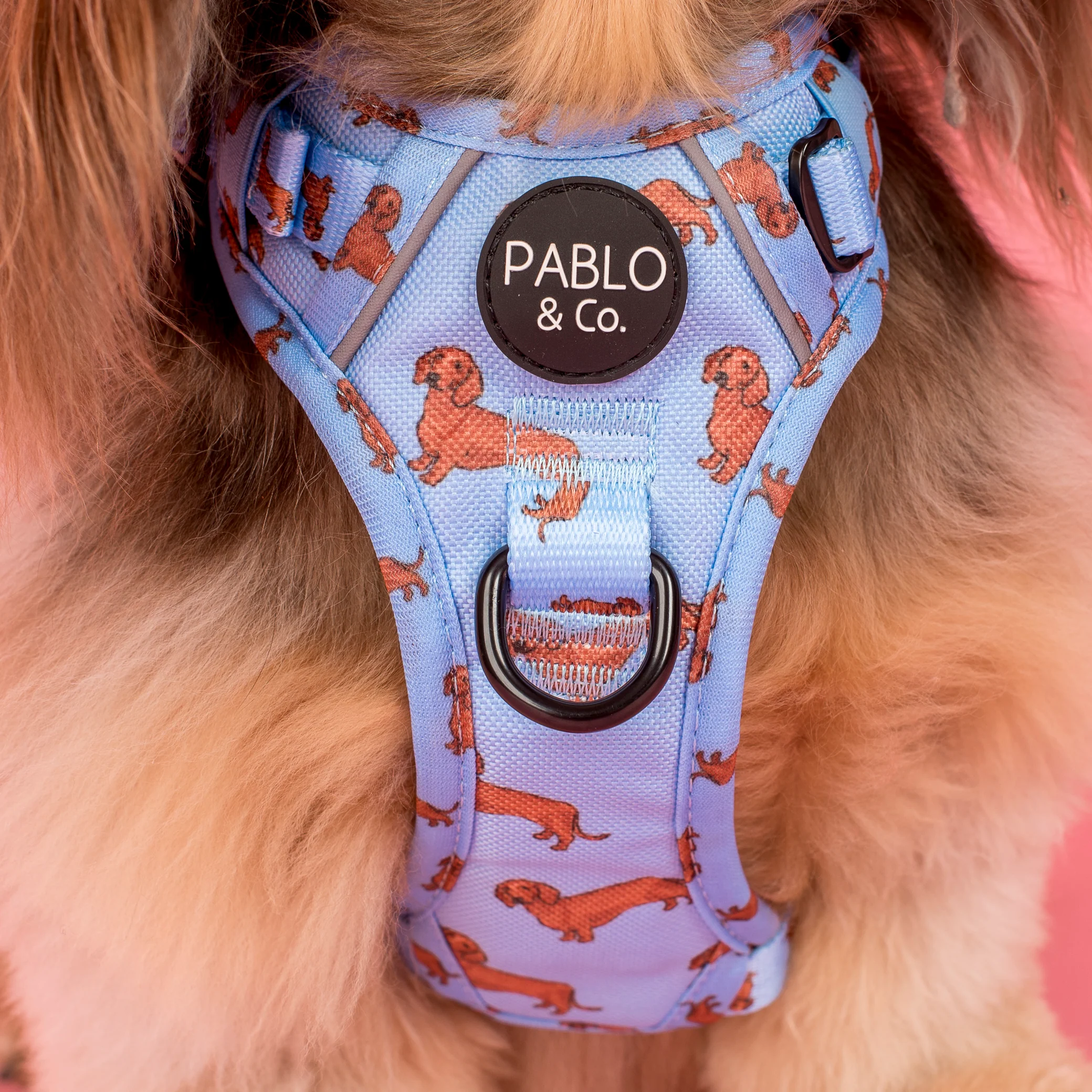 Dachshund: No Pull Adventure Harness - Image 2