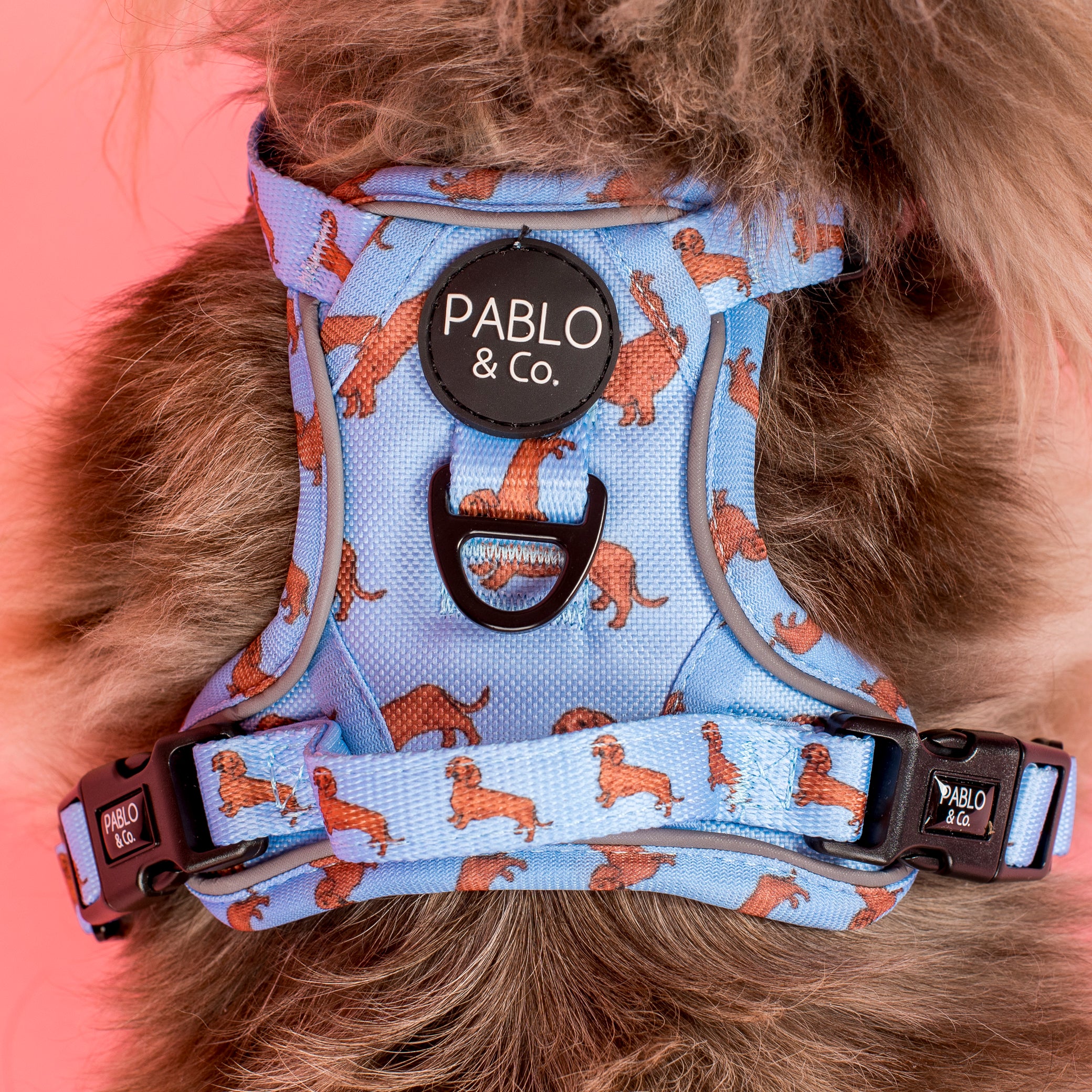 Dachshund: No Pull Adventure Harness - Image 4