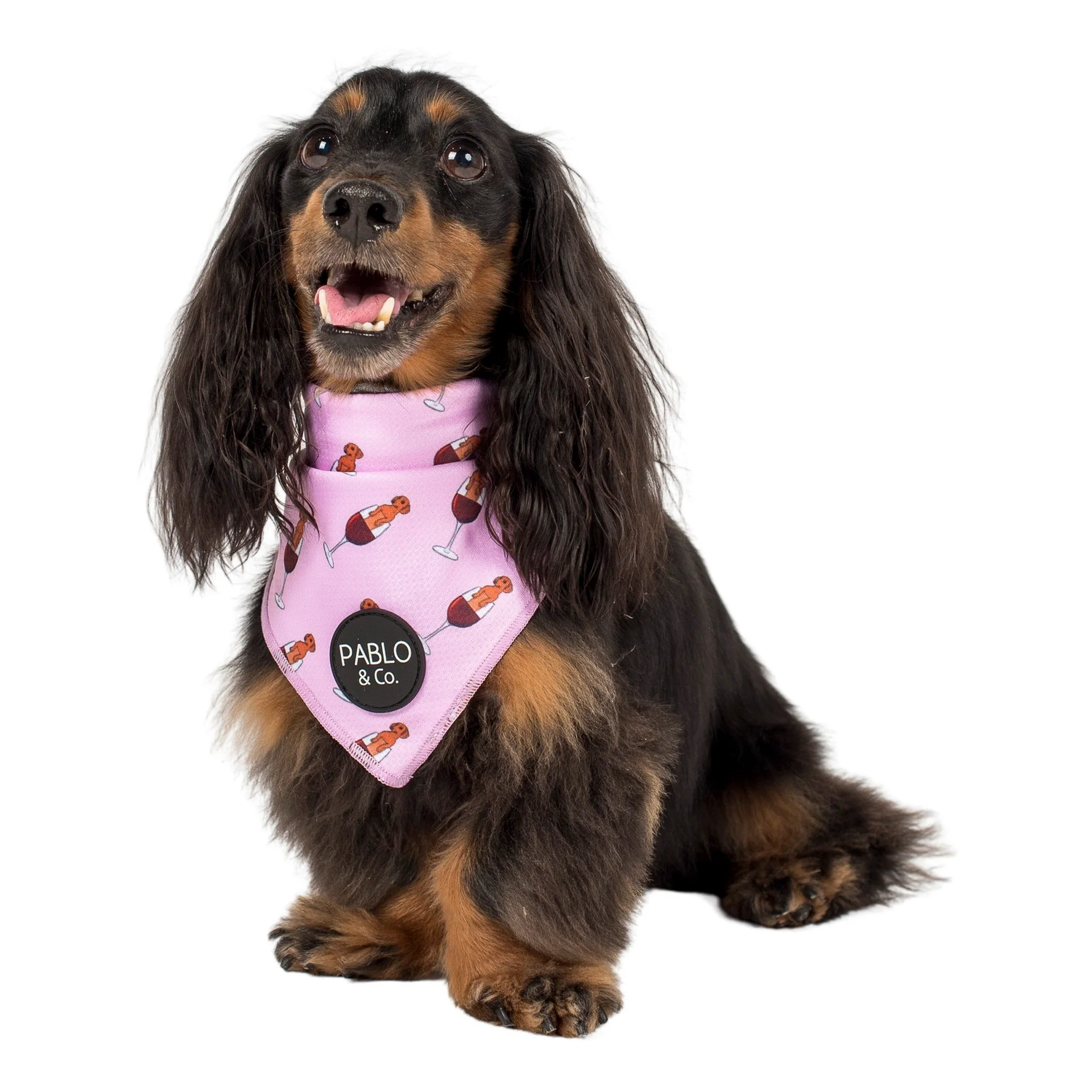Dachshunds & Wine - Dog Bandana - Image 3