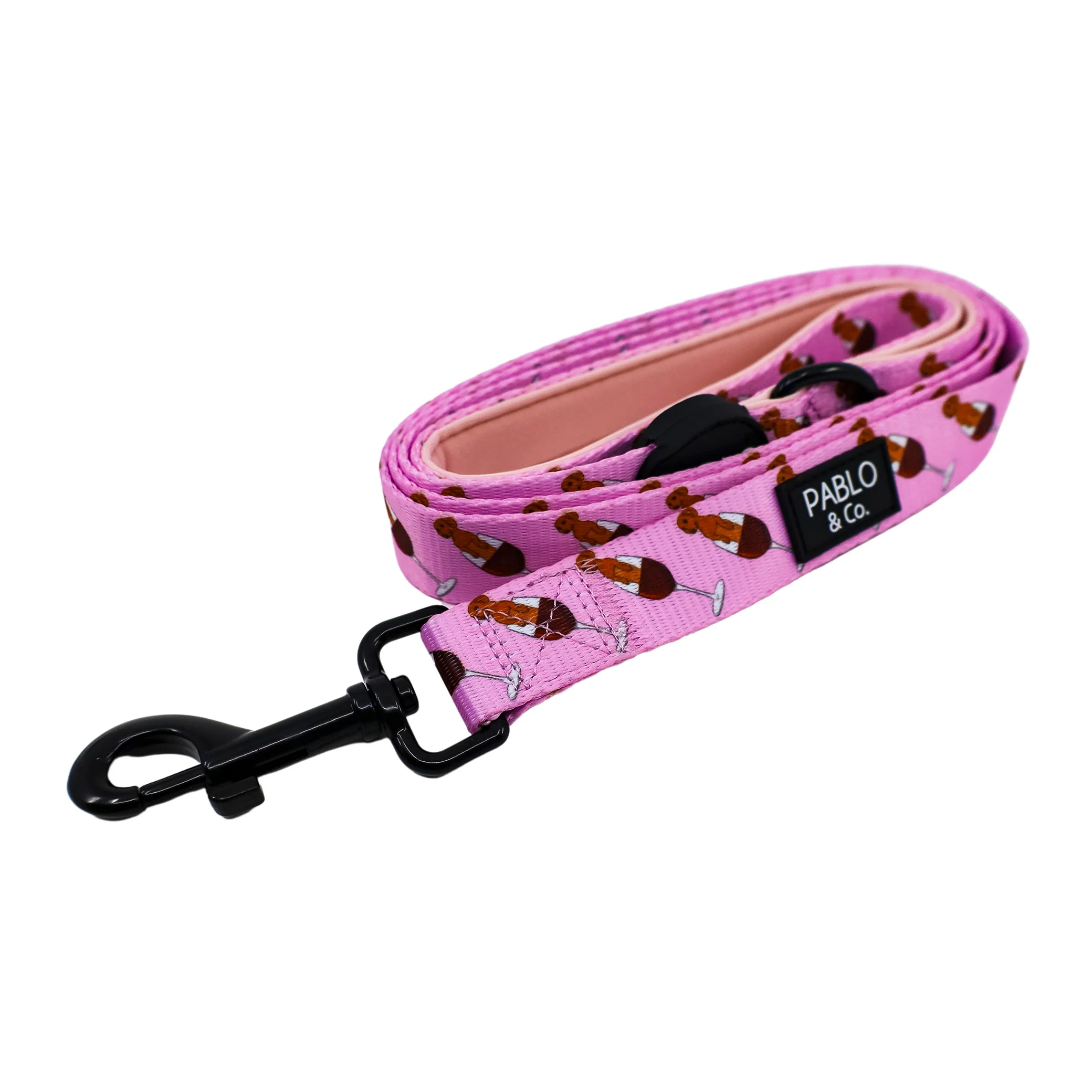 Leashes