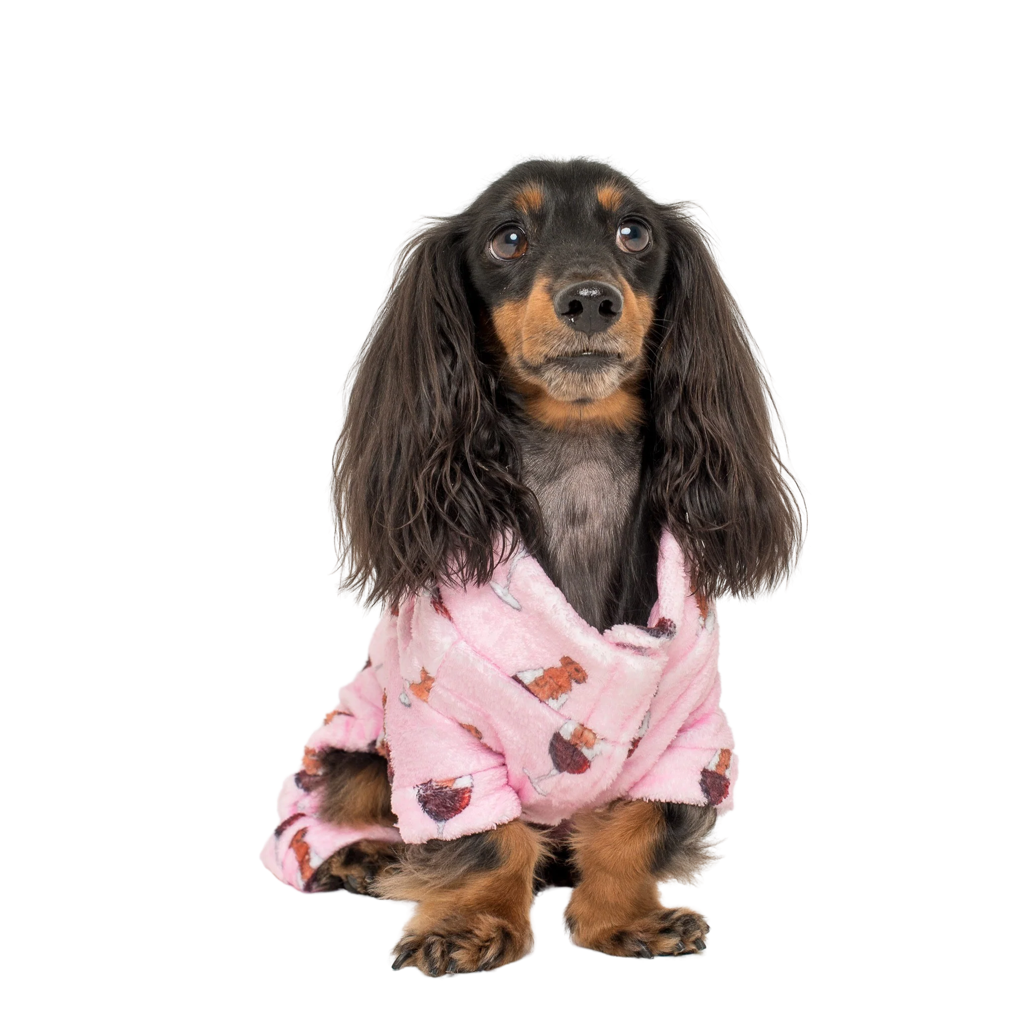Dachshunds & Wine: Onesie