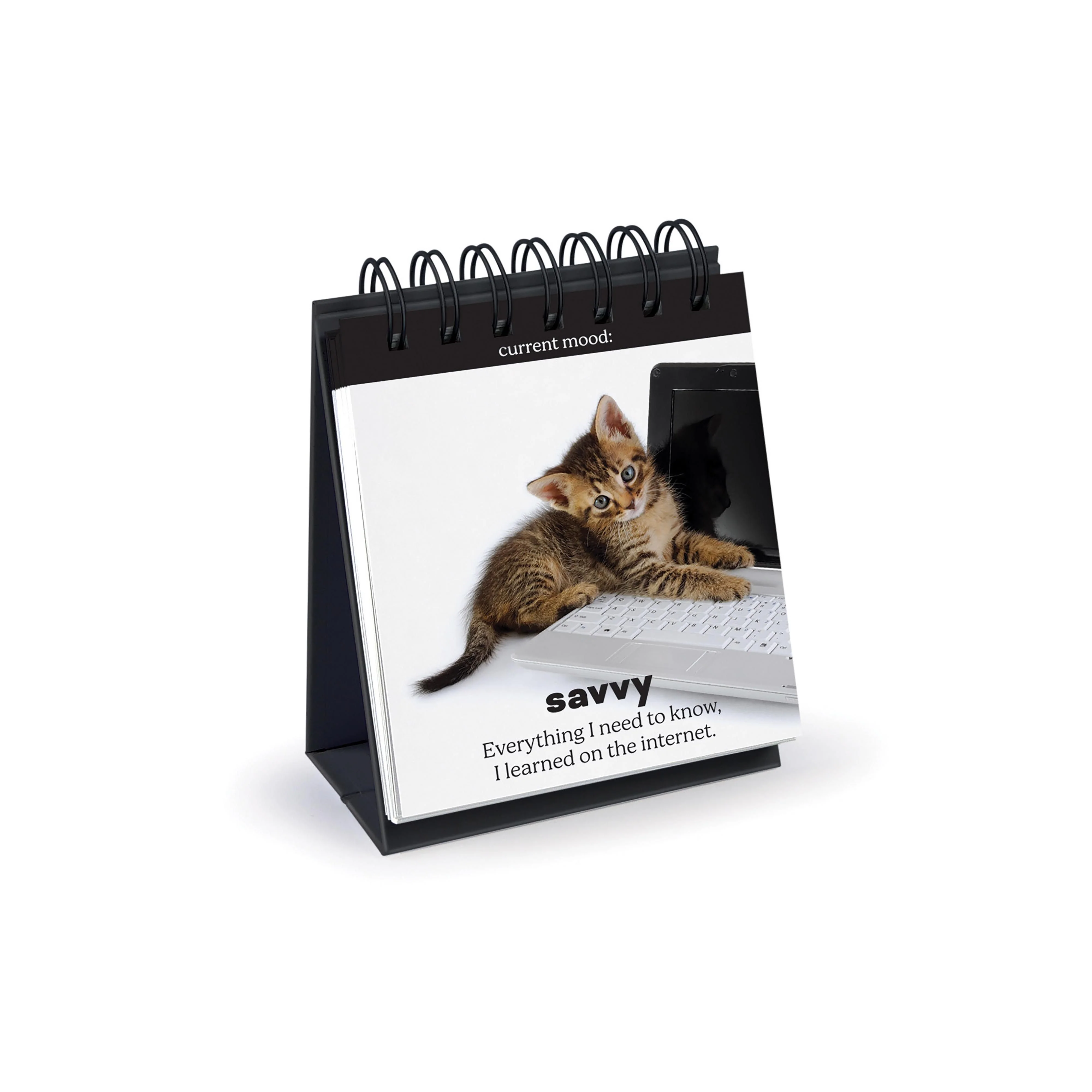 Daily Cattitudes - Desktop Flip Book - Image 2