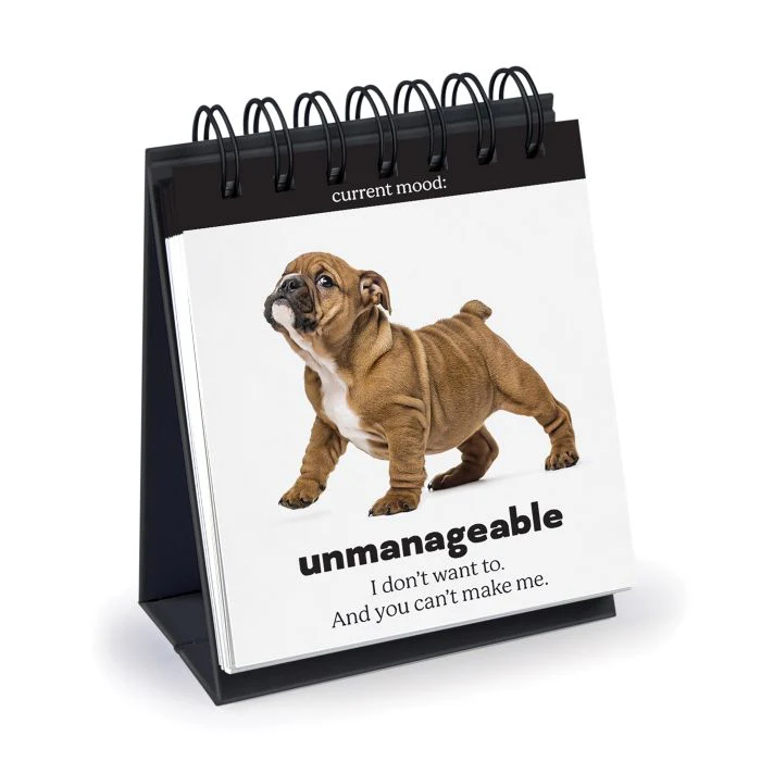 Daily Doggo - Desktop Flip Book - Image 3