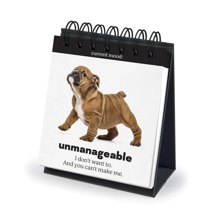 Daily Doggo - Desktop Flip Book - Image 5