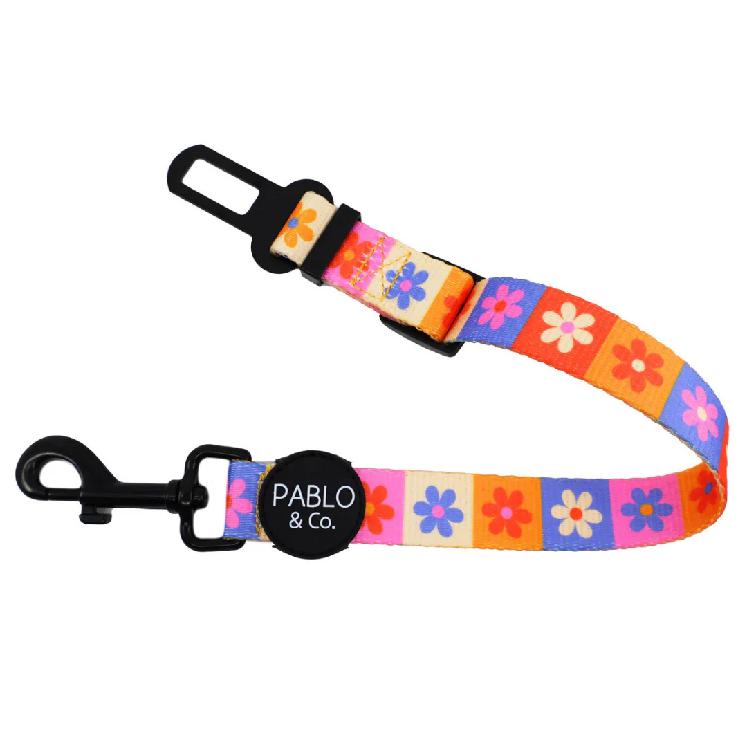 Daisies For Days: Adjustable Car Restraint