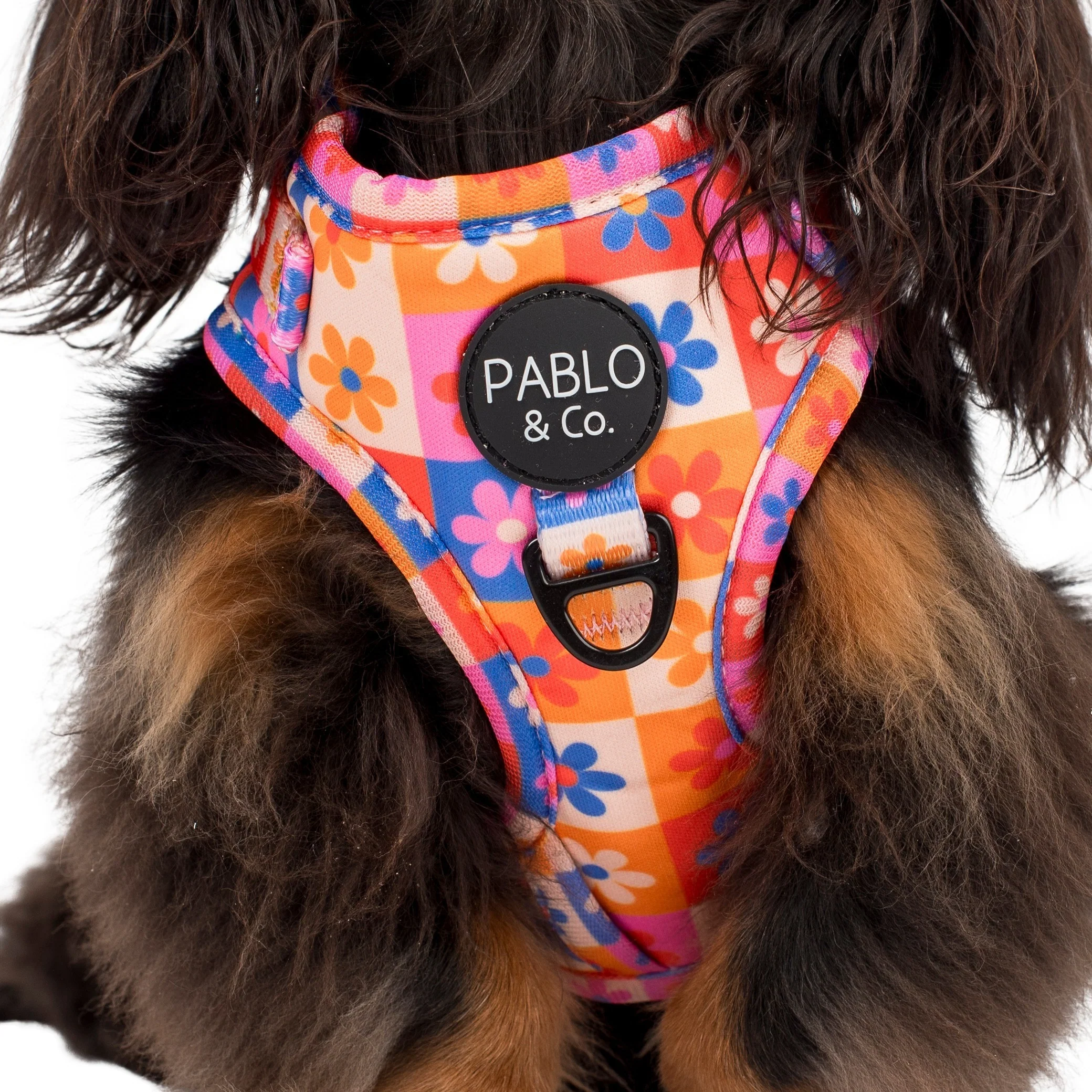 Daisies For Days: Adjustable Harness - Image 2