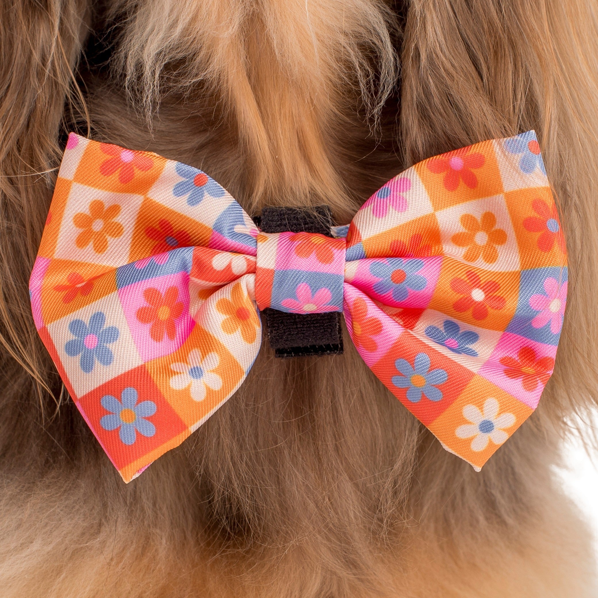 Daisies For Days: Bow Tie - Image 2