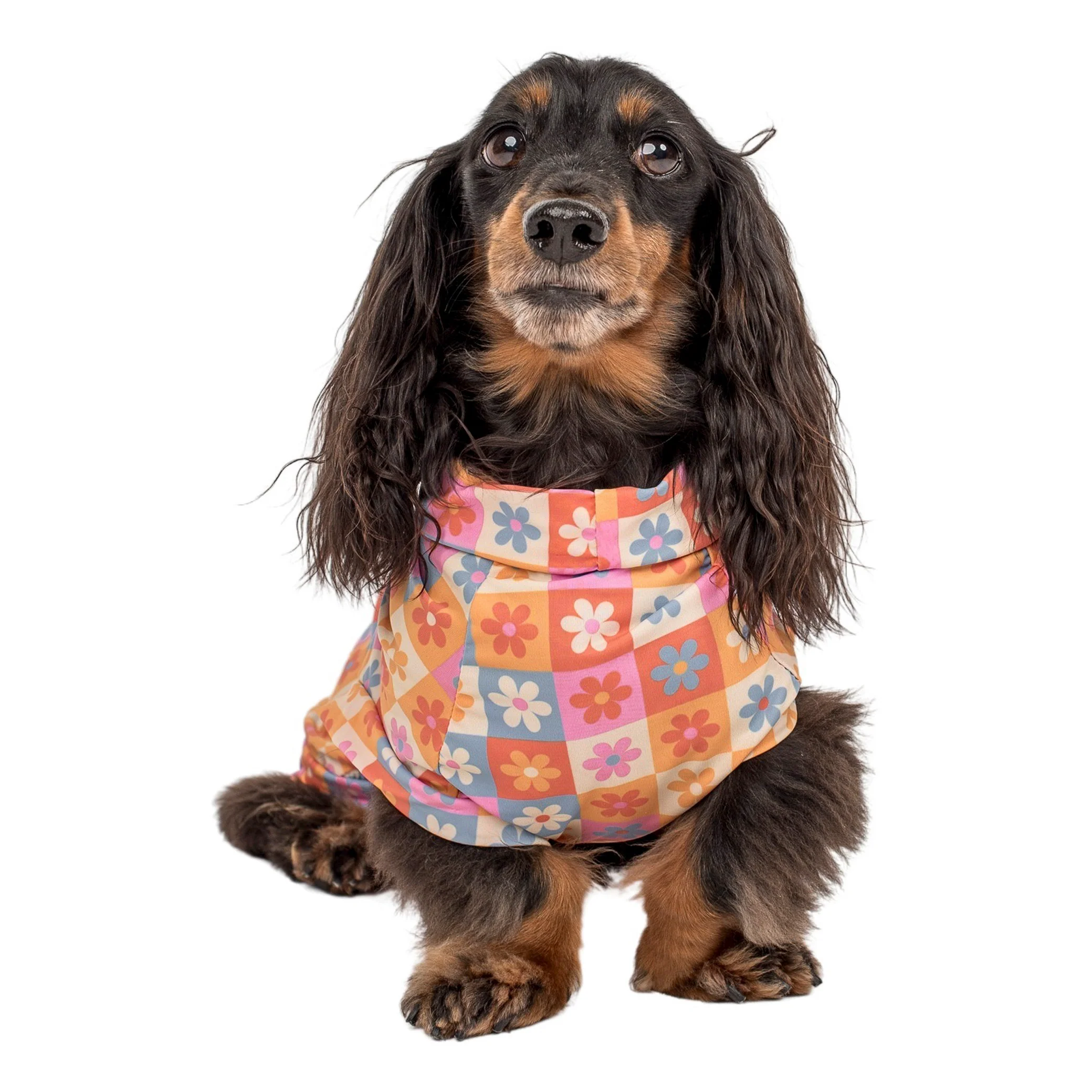 Daisies For Days: Cooling Dog Rashie - Image 3