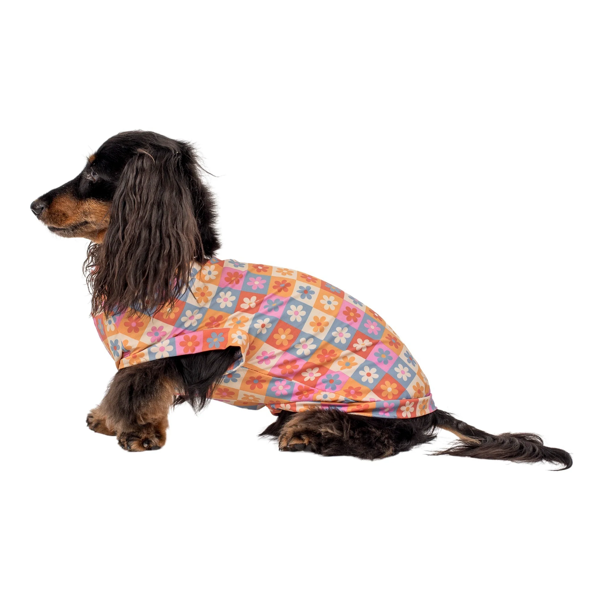 Daisies For Days: Cooling Dog Rashie - Image 4