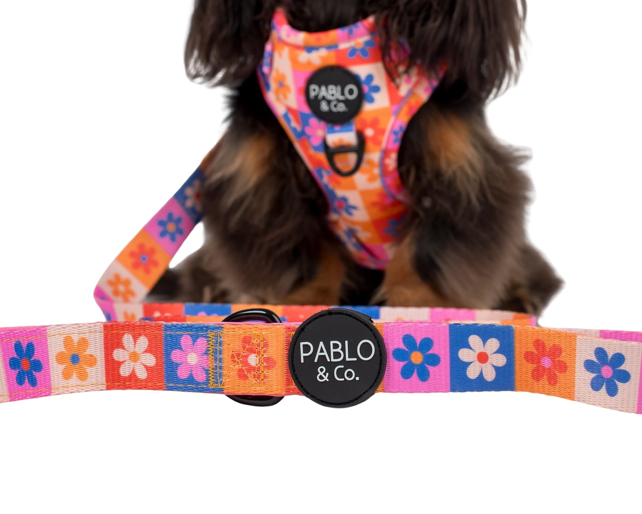 Daisies For Days: Dog Leash - Image 2