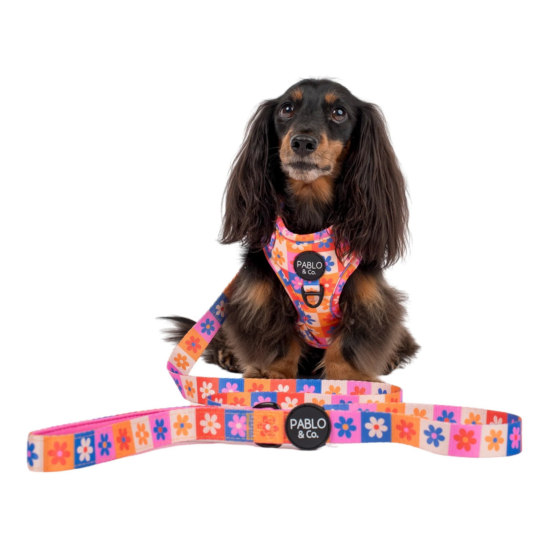 Daisies For Days: Dog Leash - Image 3
