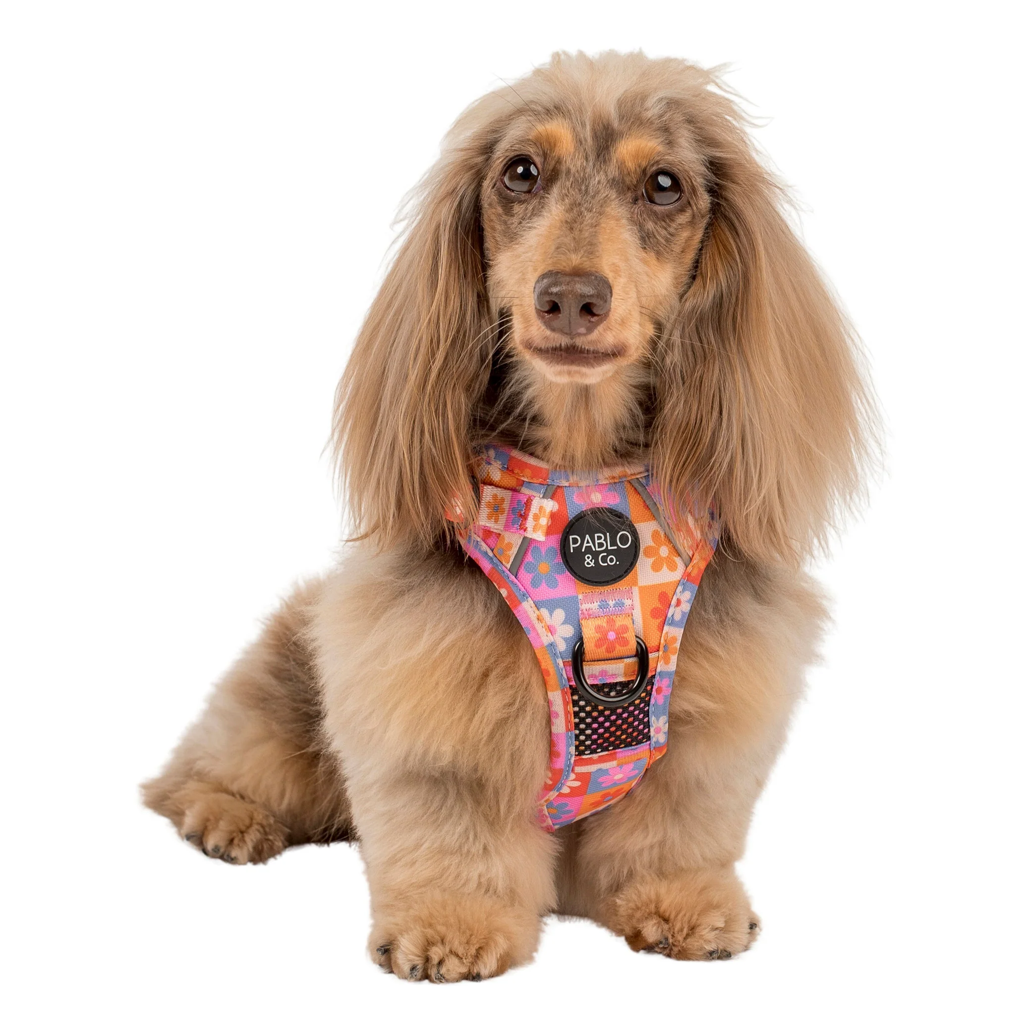 Daisies For Days: No Pull Adventure Harness - Image 3