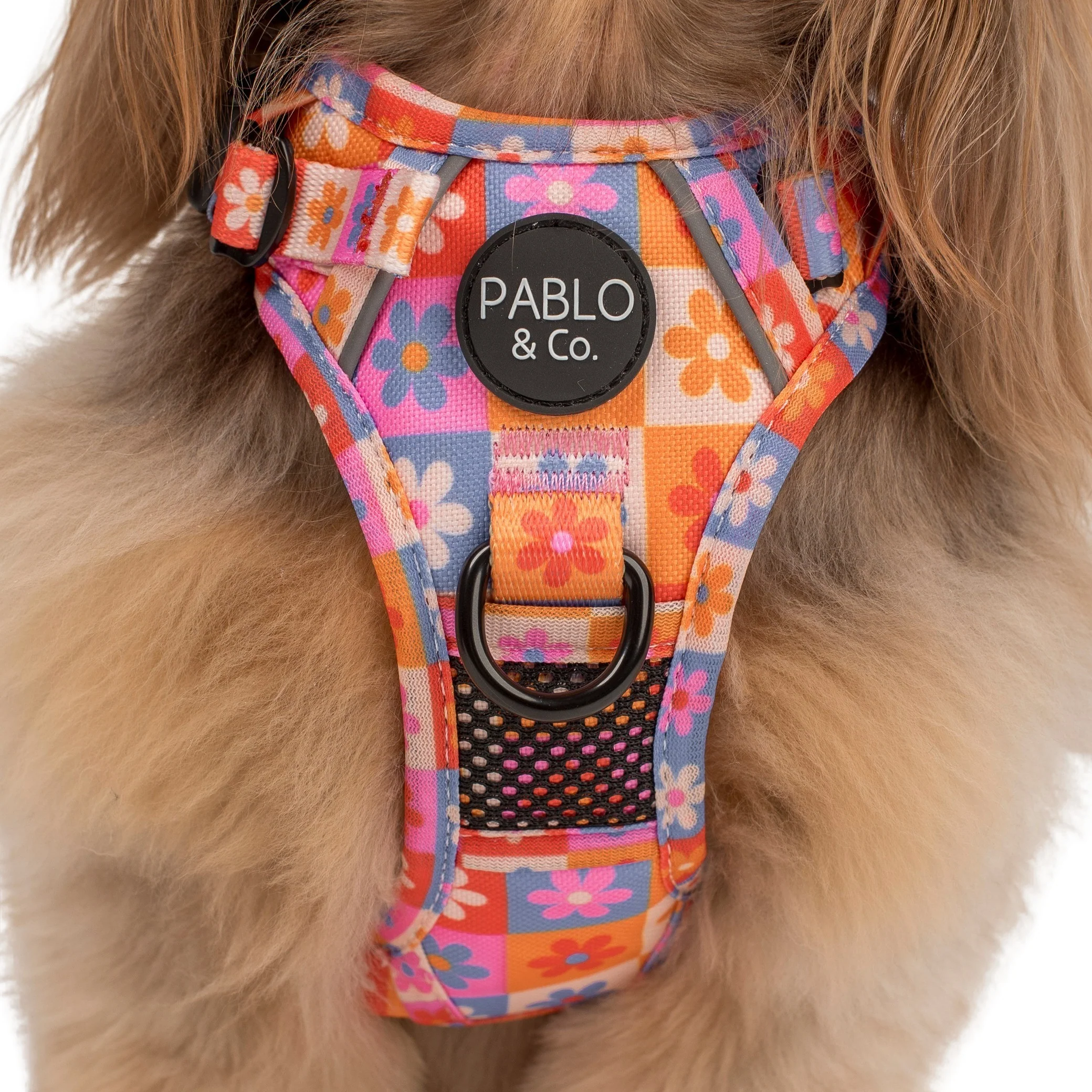 Daisies For Days: No Pull Adventure Harness - Image 4