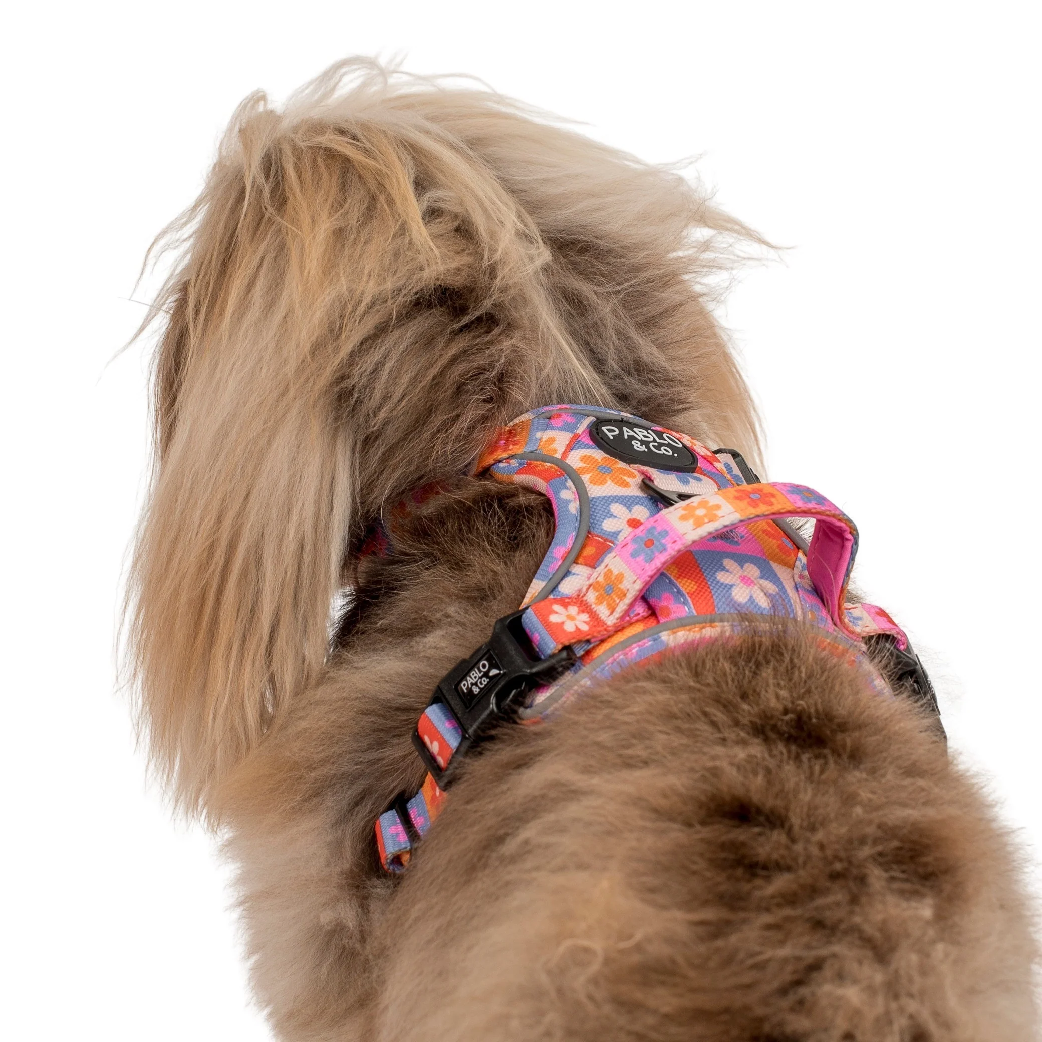 Daisies For Days: No Pull Adventure Harness - Image 5