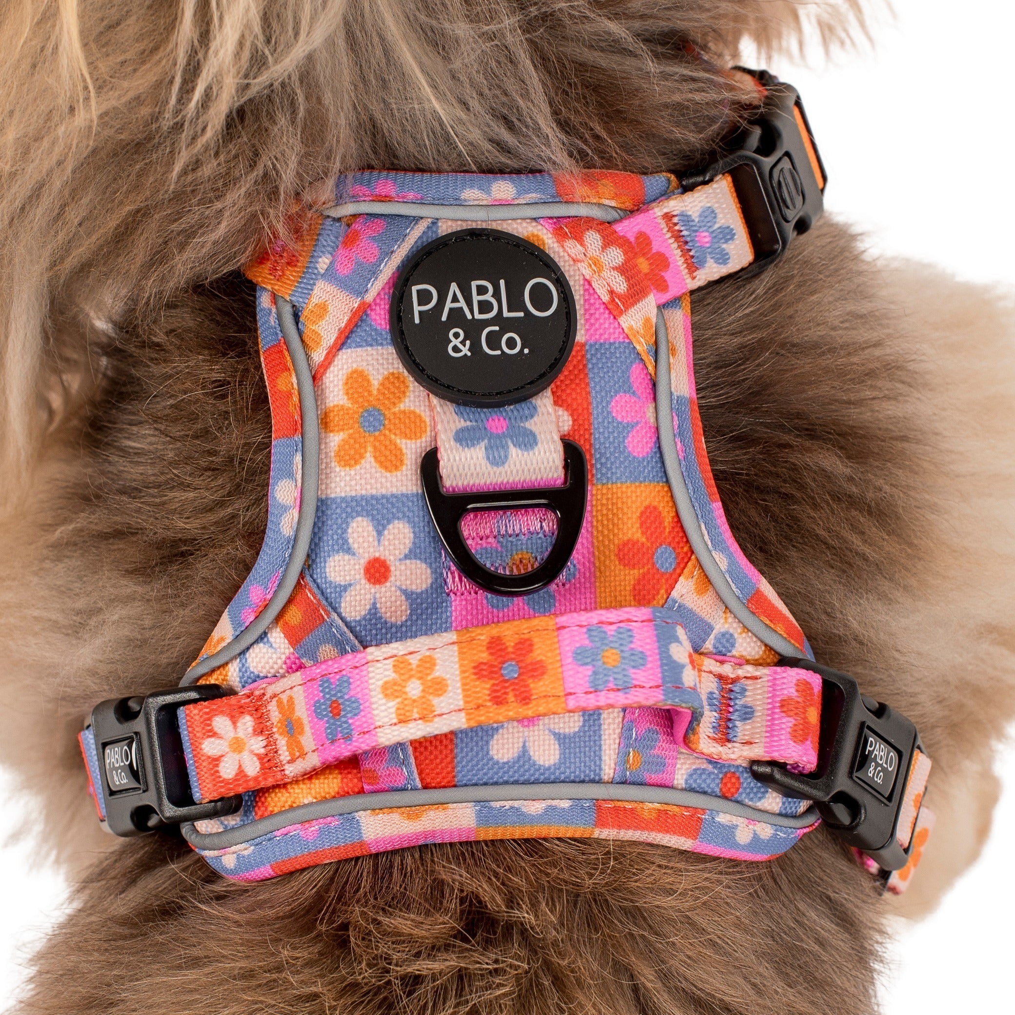 Daisies For Days: No Pull Adventure Harness - Image 6