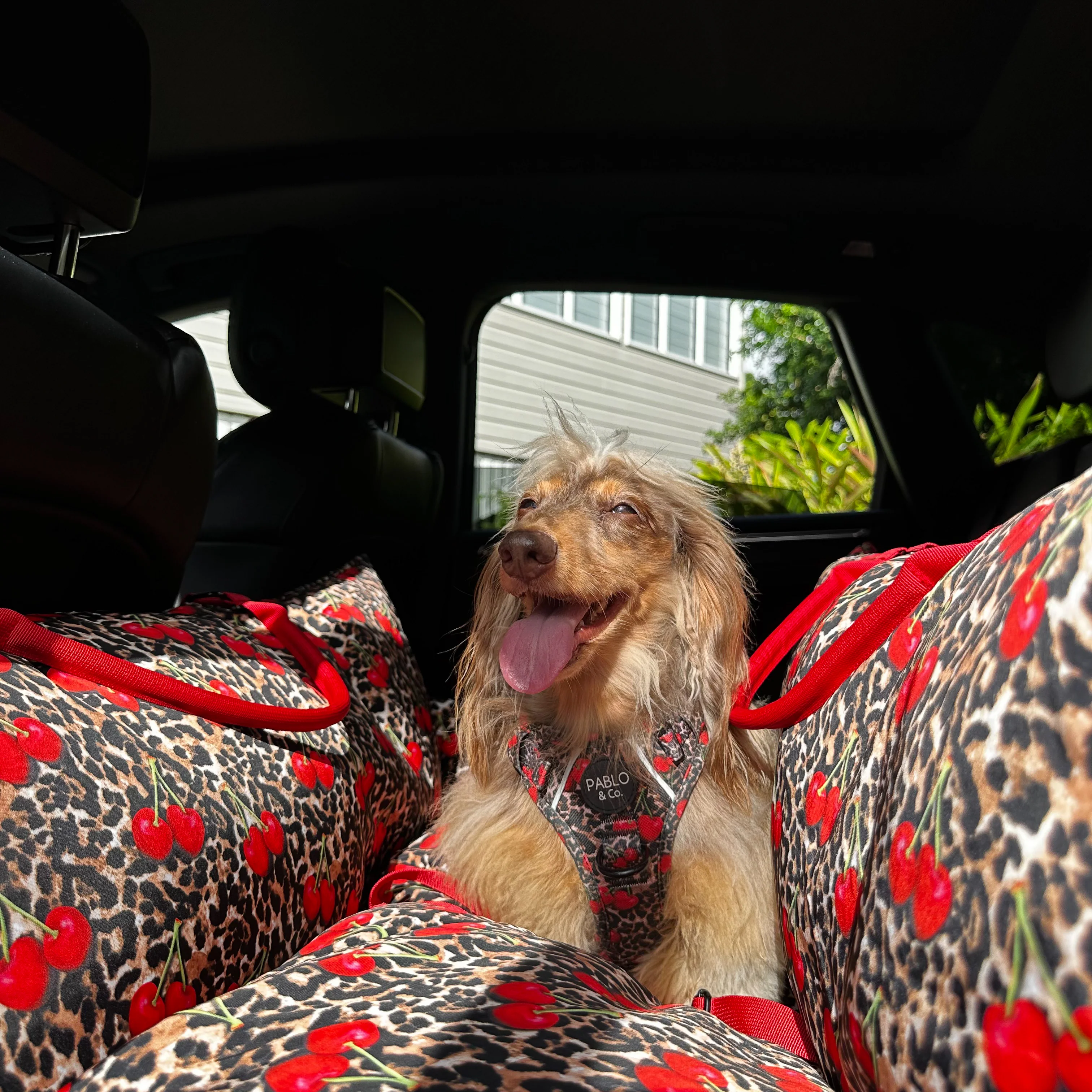 Deluxe Travel Car Bed: Leopard Cherries - Image 7
