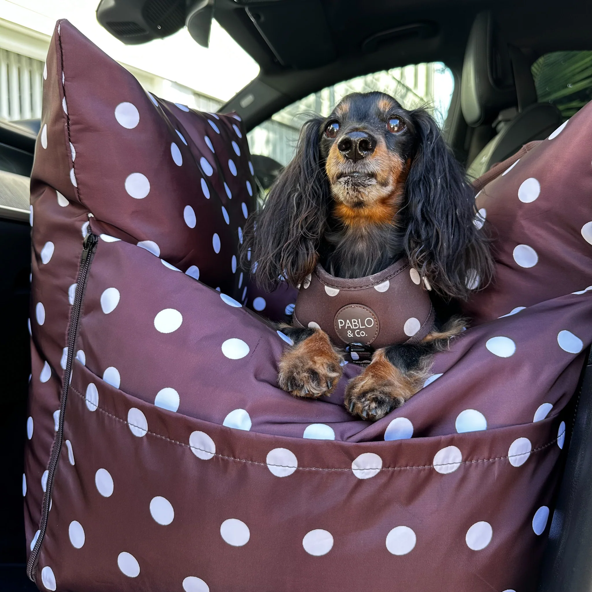 Deluxe Travel Car Bed: Polka Dots - Image 2