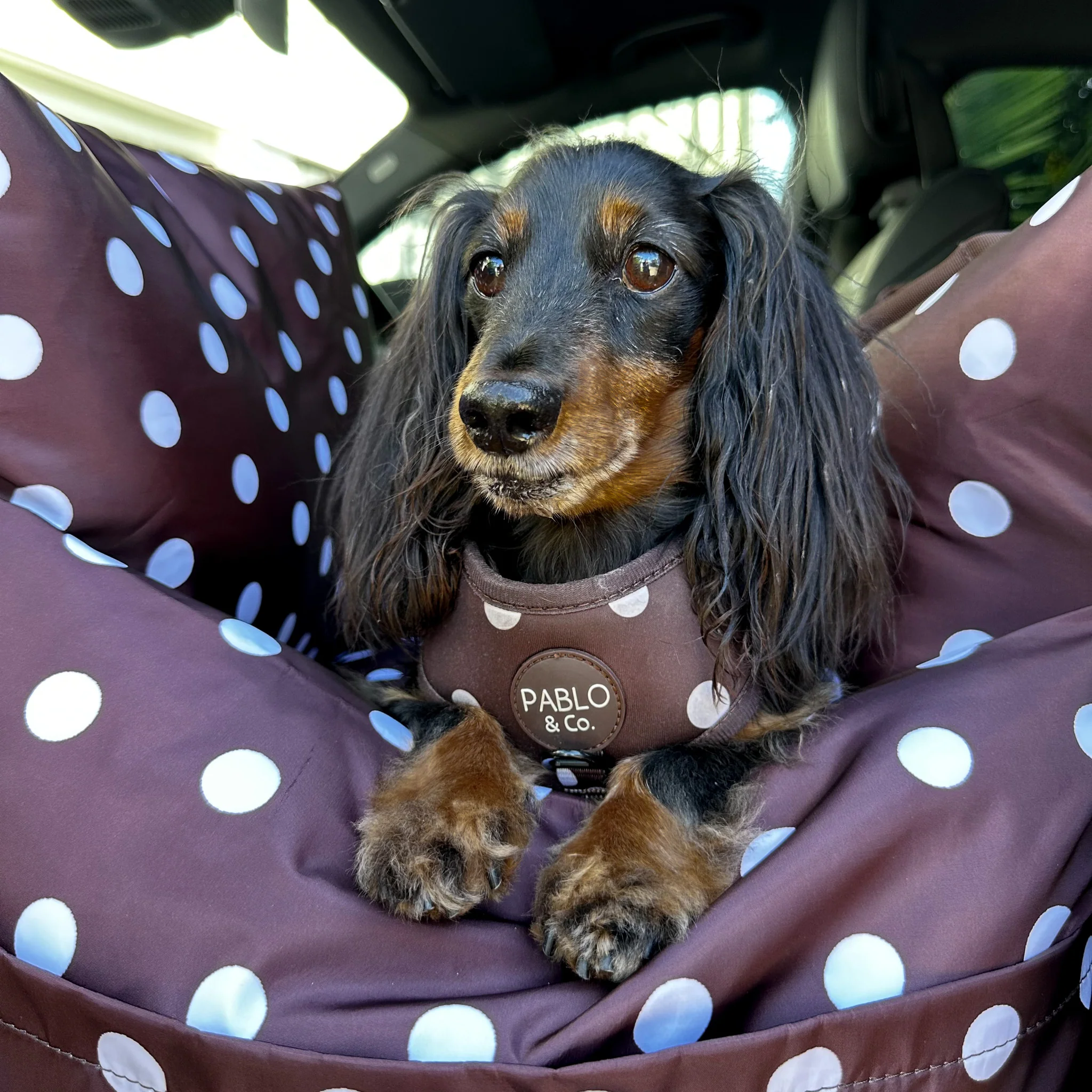 Deluxe Travel Car Bed: Polka Dots - Image 7