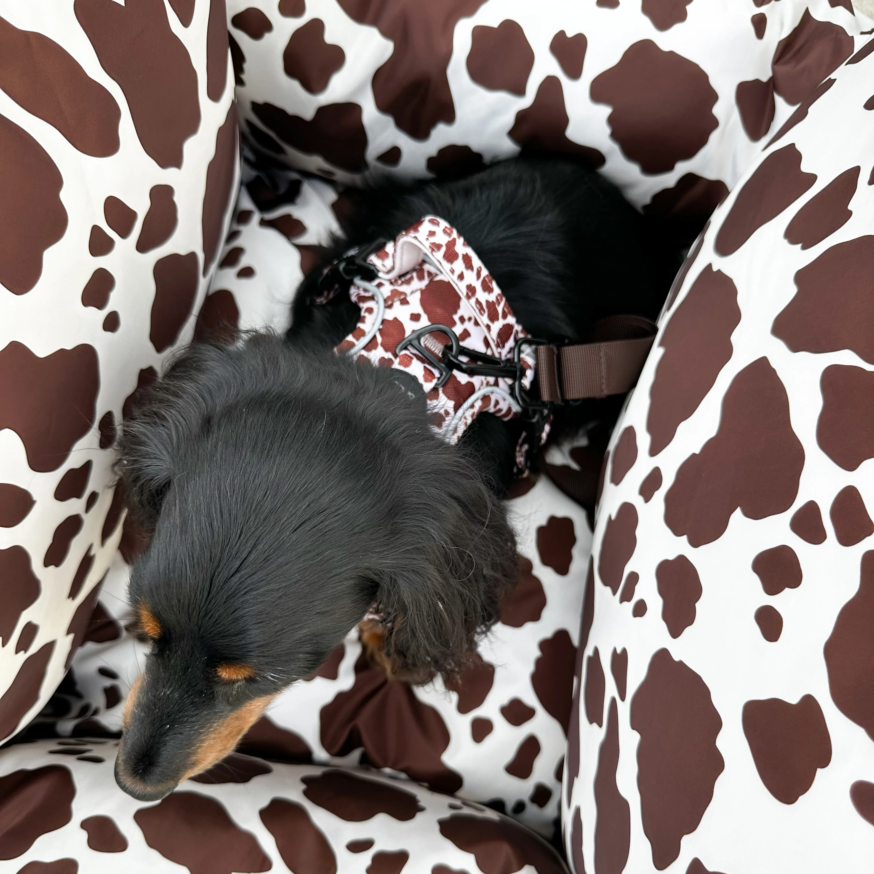 Deluxe Travel Car Bed: Rodeo - Image 7