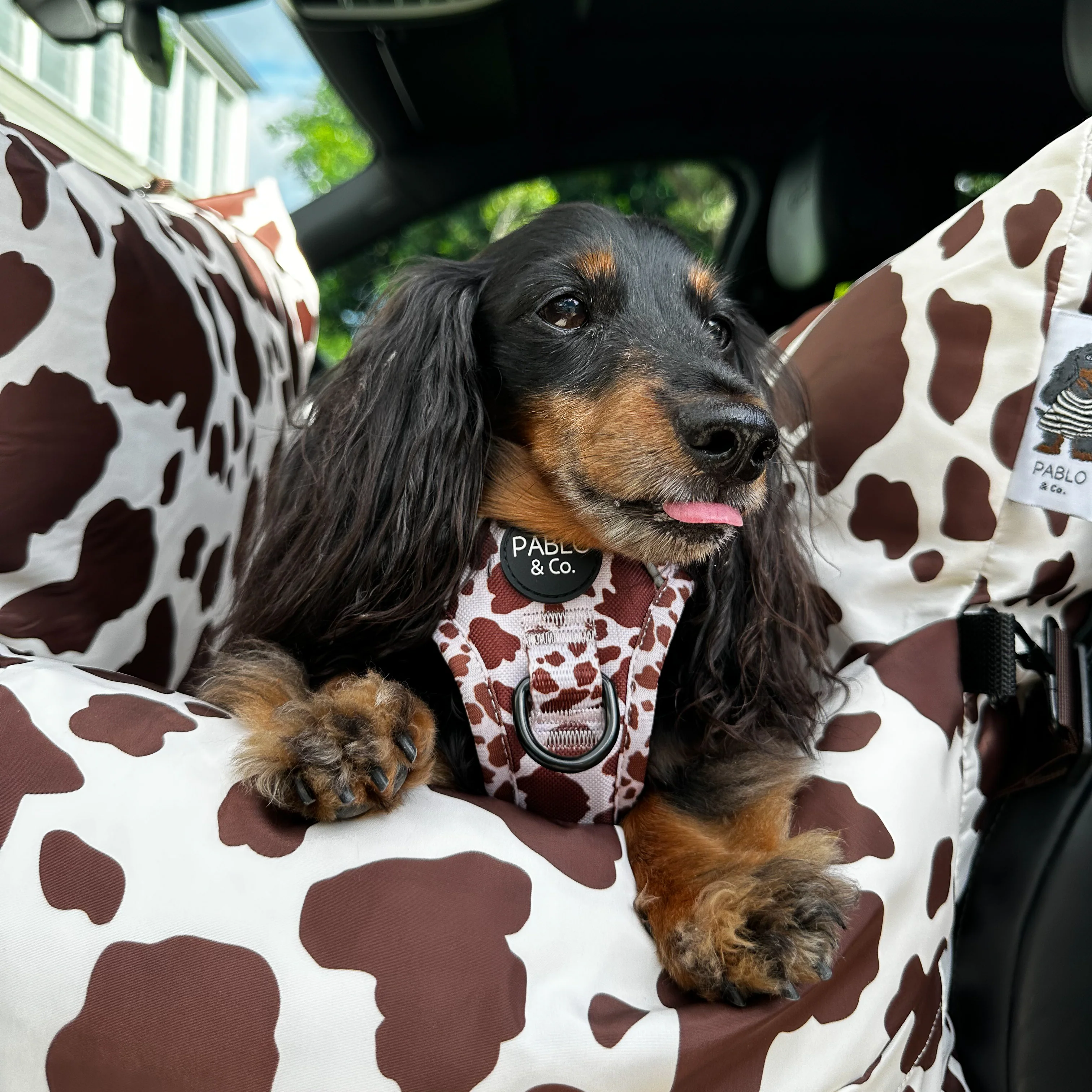 Deluxe Travel Car Bed: Rodeo - Image 8