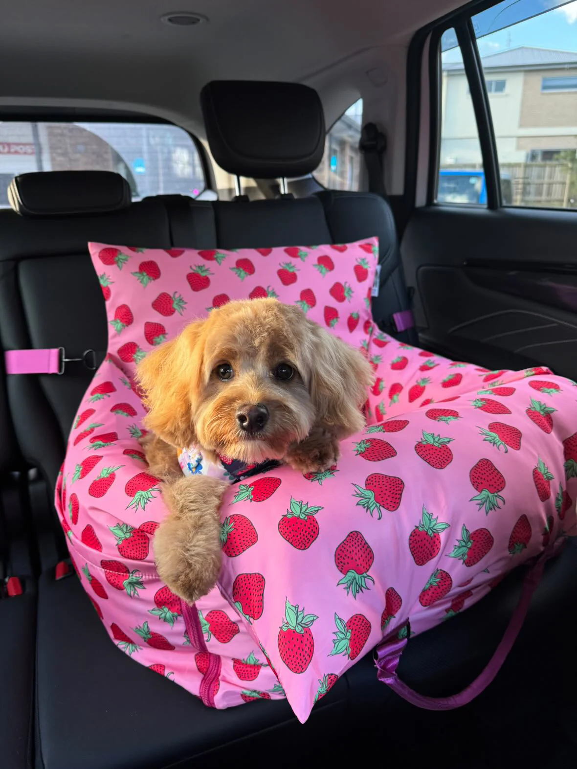 Deluxe Travel Car Bed: Strawberries - Image 15