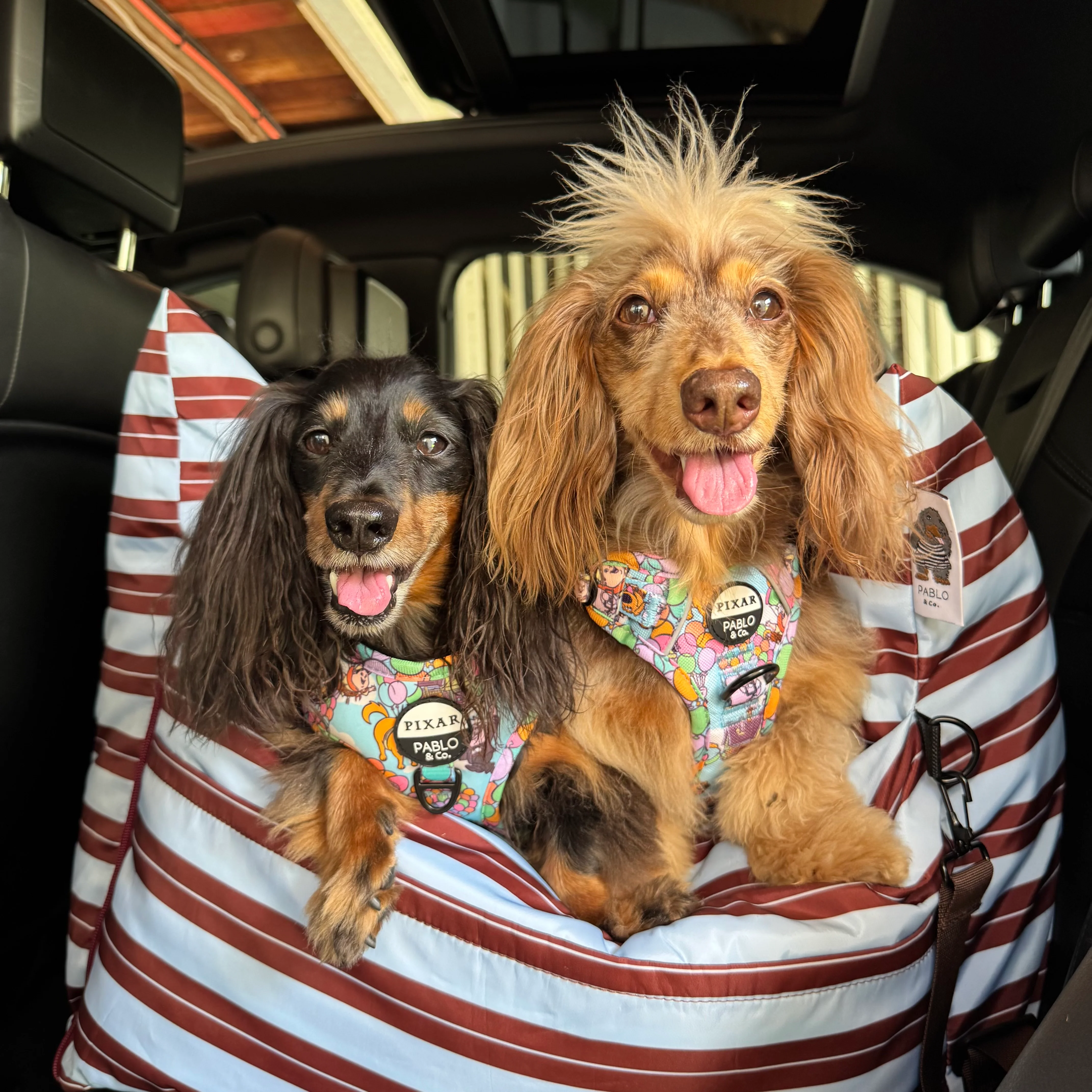 Deluxe Travel Car Bed: Sunday Stripes - Image 5