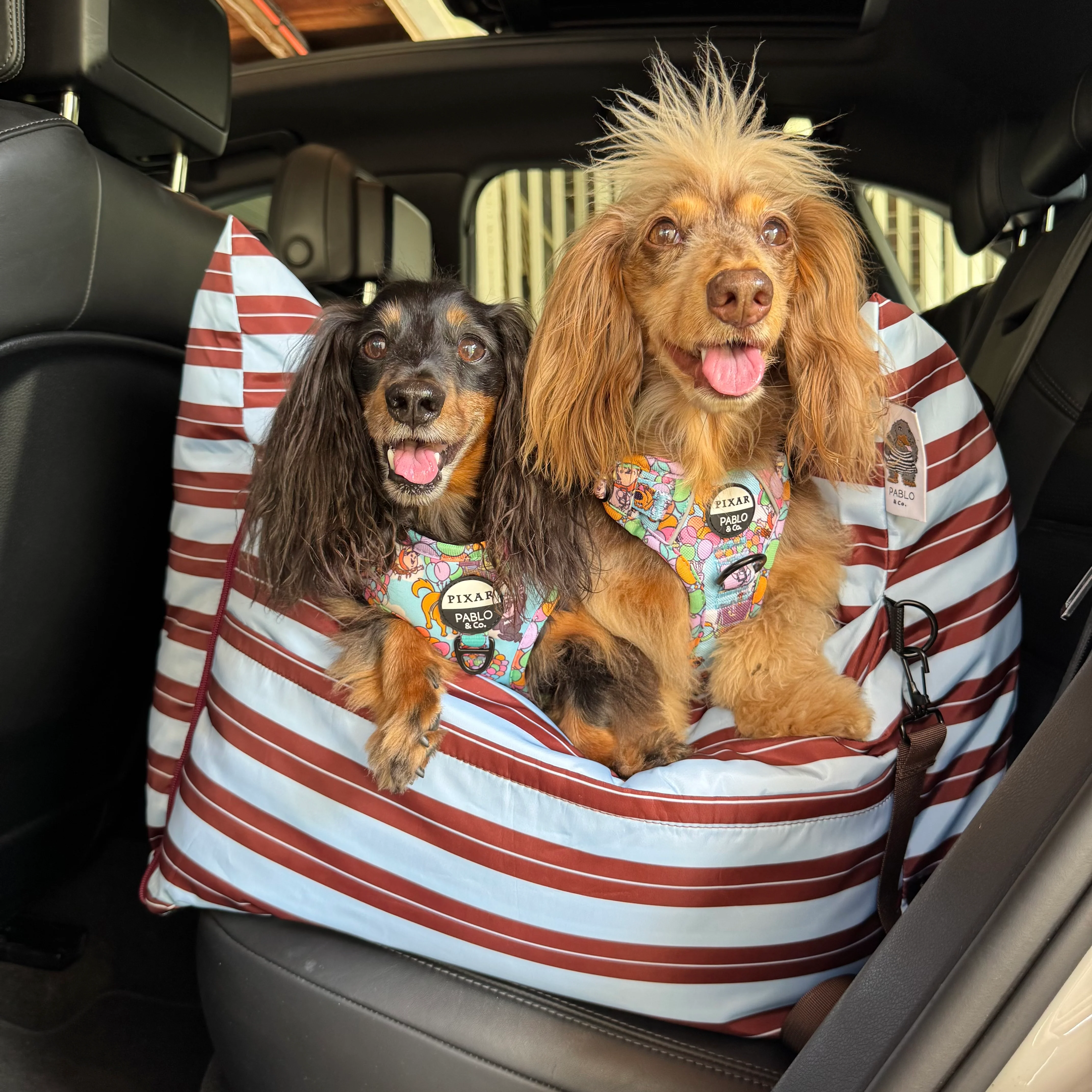 Deluxe Travel Car Bed: Sunday Stripes - Image 6