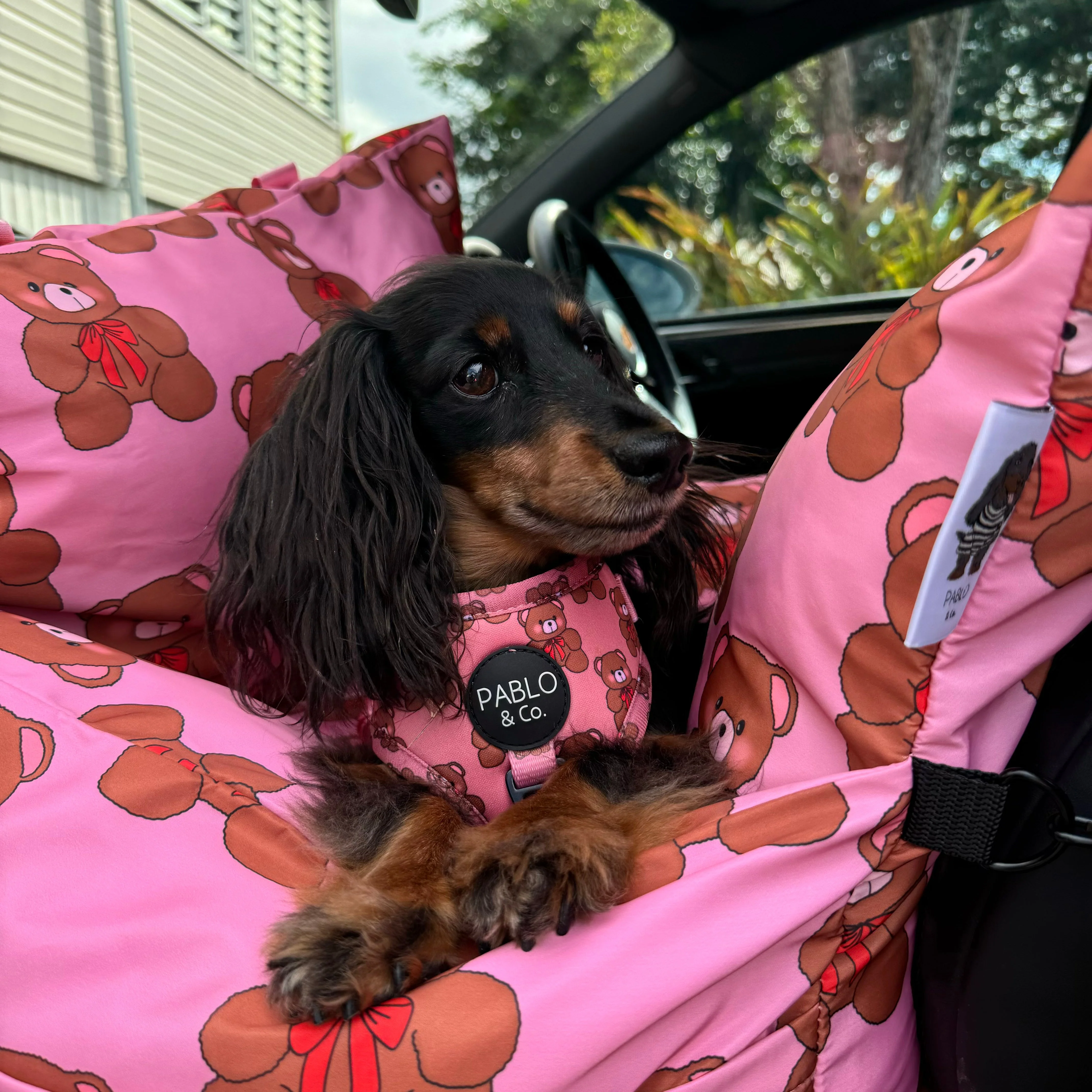 Deluxe Travel Car Bed: Teddies - Image 9