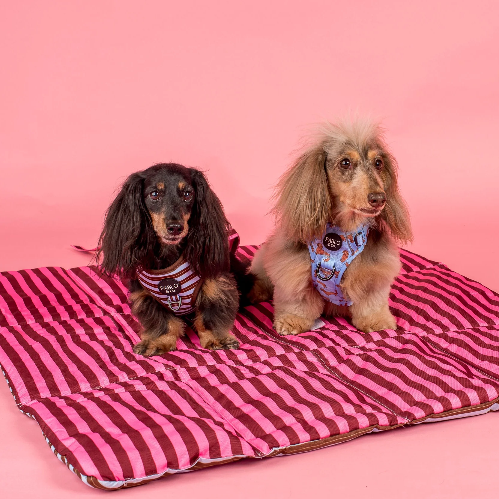 Deluxe Travel Mat: Blushing Stripes & Sunday Stripes - Image 3