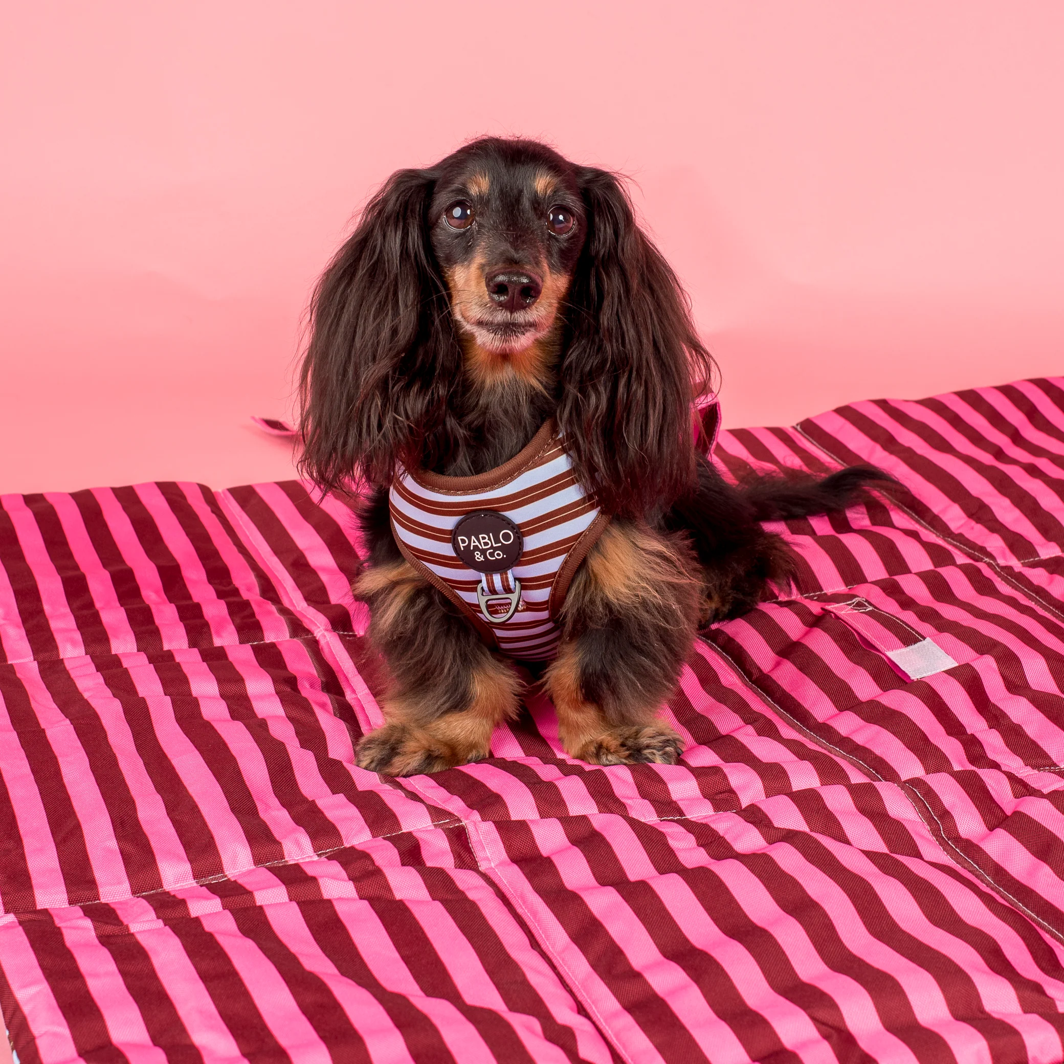 Deluxe Travel Mat: Blushing Stripes & Sunday Stripes - Image 4