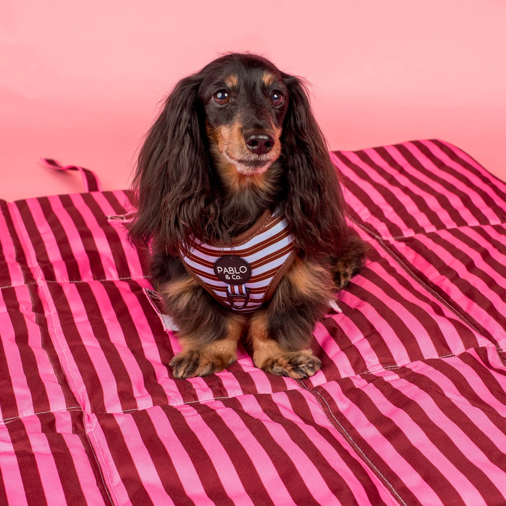 Deluxe Travel Mat: Blushing Stripes & Sunday Stripes - Image 5