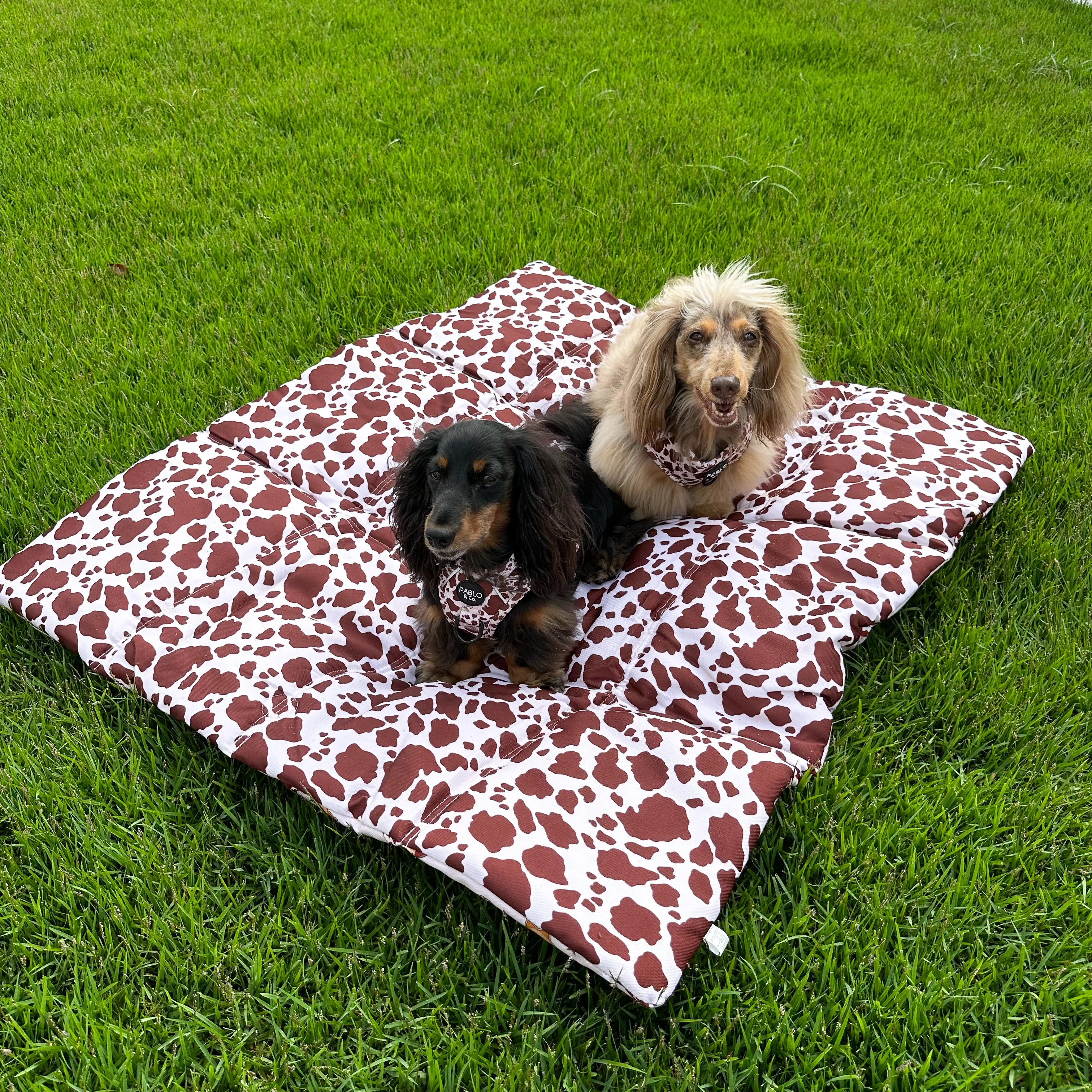 Deluxe Travel Mat: Howdy / Rodeo - Image 5