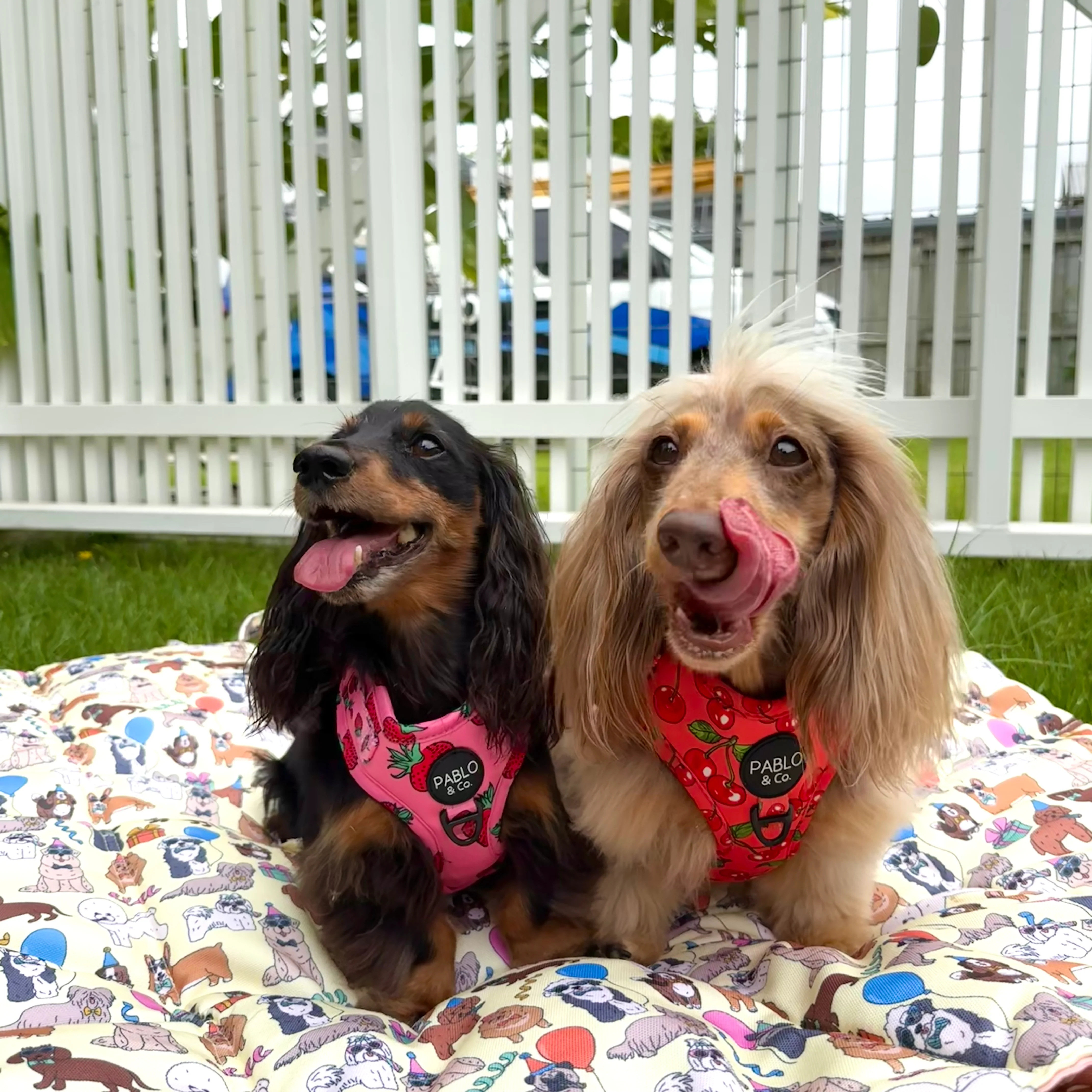 Deluxe Travel Mat: Party Dawgs / Pretzels - Image 3