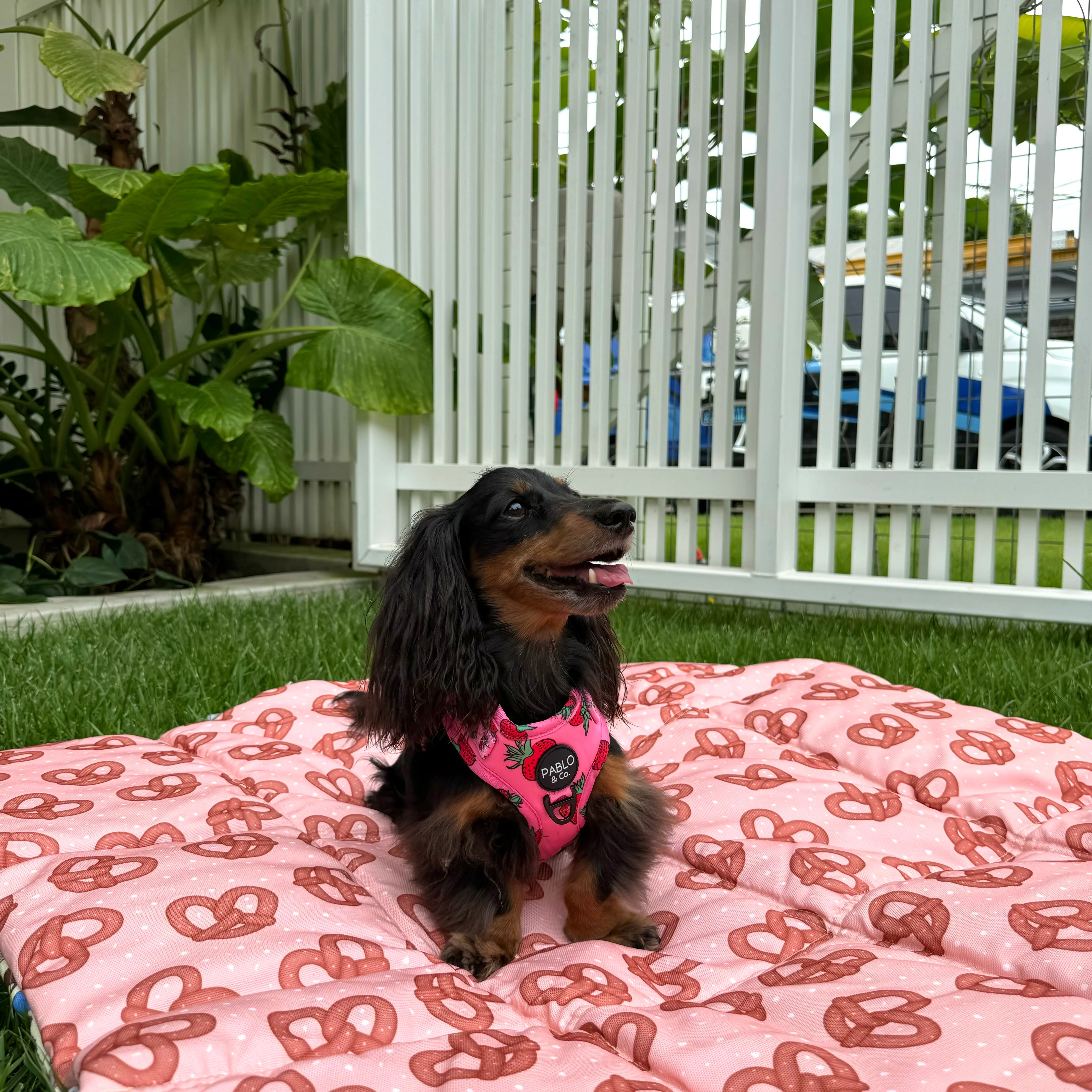 Deluxe Travel Mat: Party Dawgs / Pretzels - Image 4